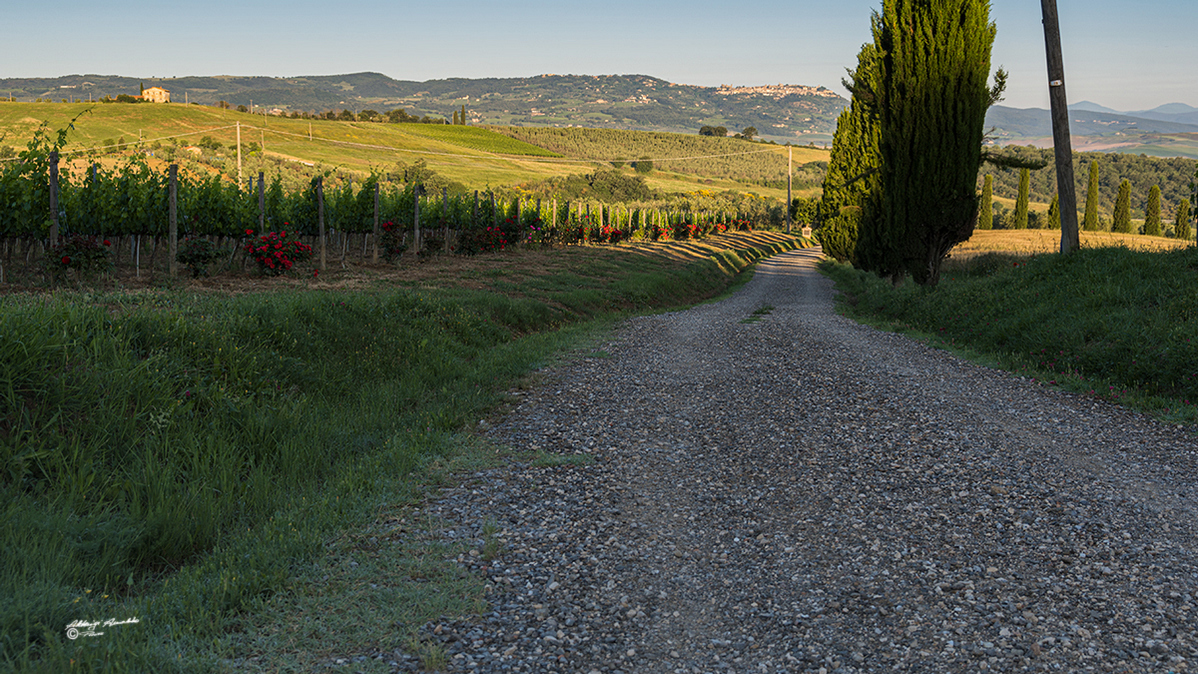 Si intravede Montalcino..