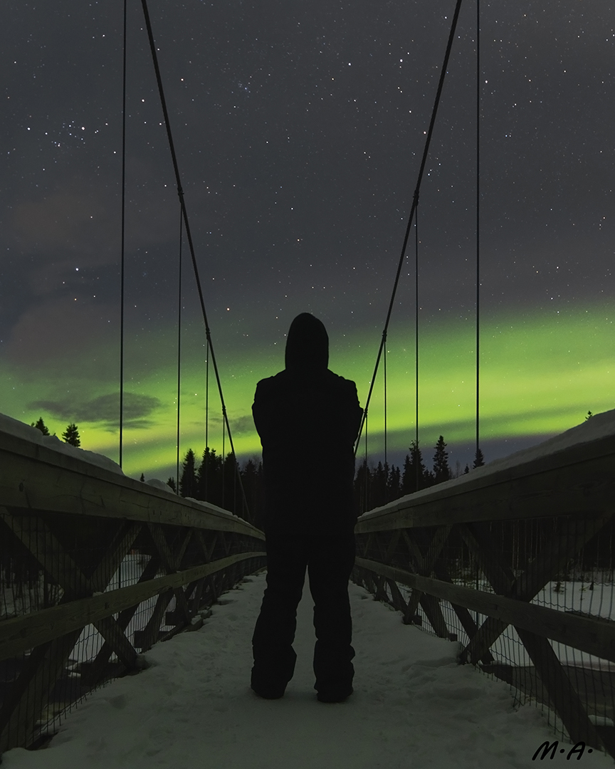 Selfie boreale