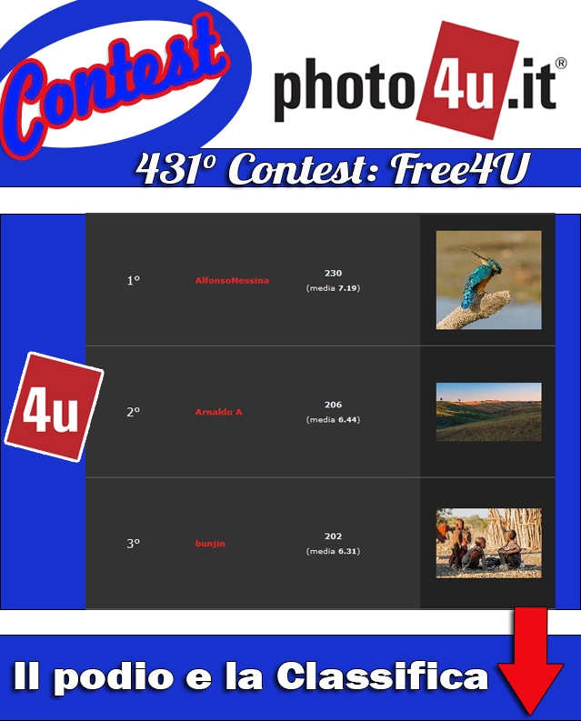 431� Contest: Free4U Podio e Classifica