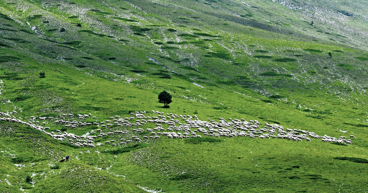 Castelluccio...amarcord..5