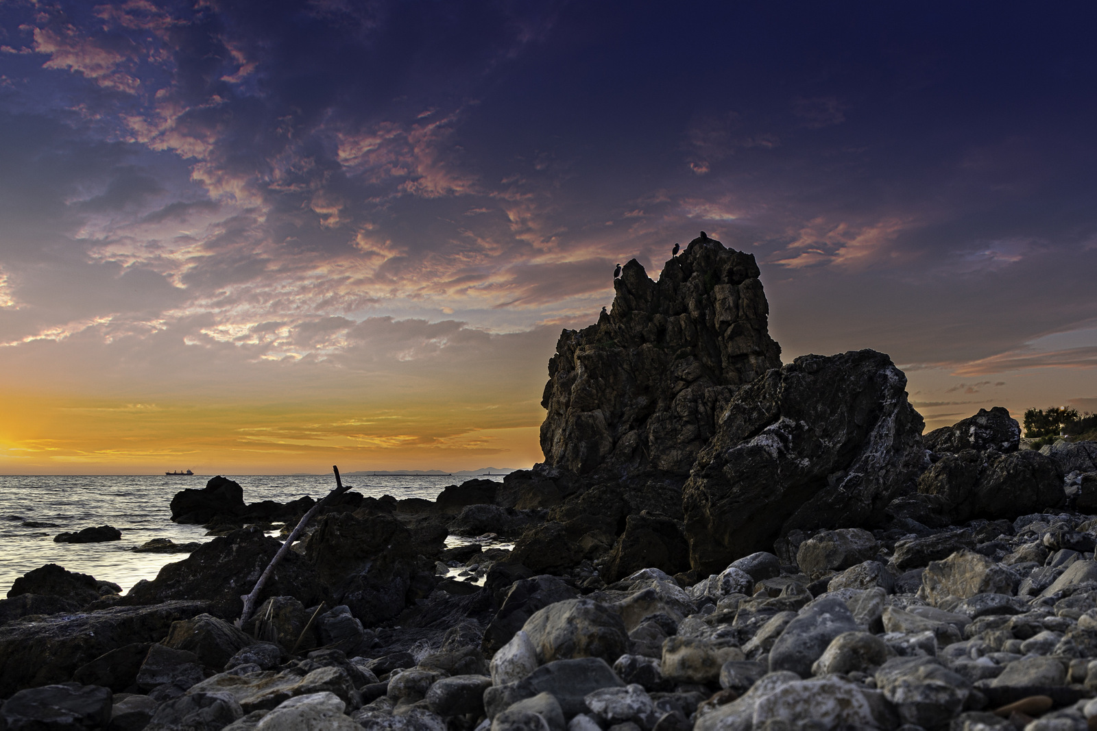 Scoglio della ballerina. Livorno