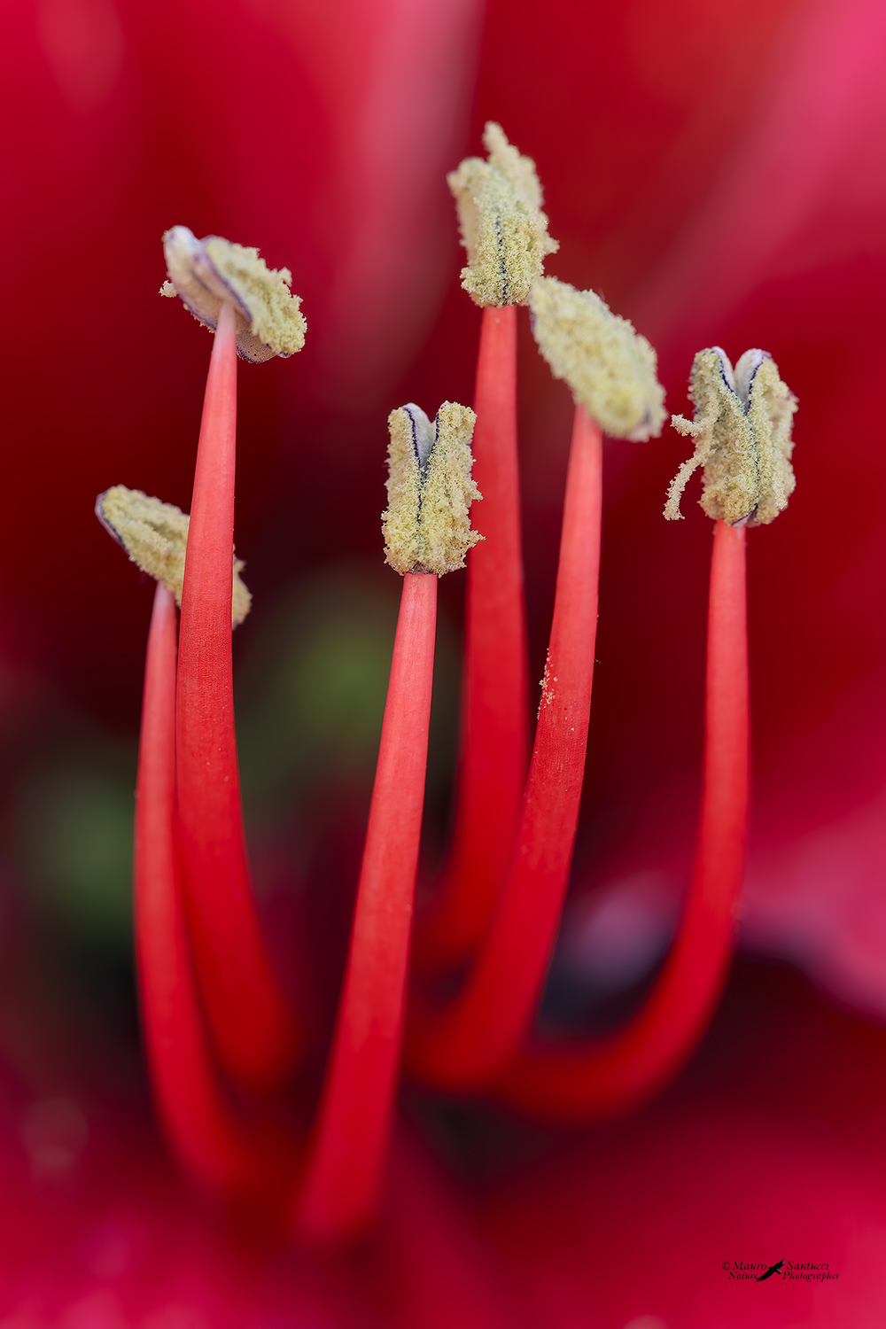Le-Sentinelle_DSC0278