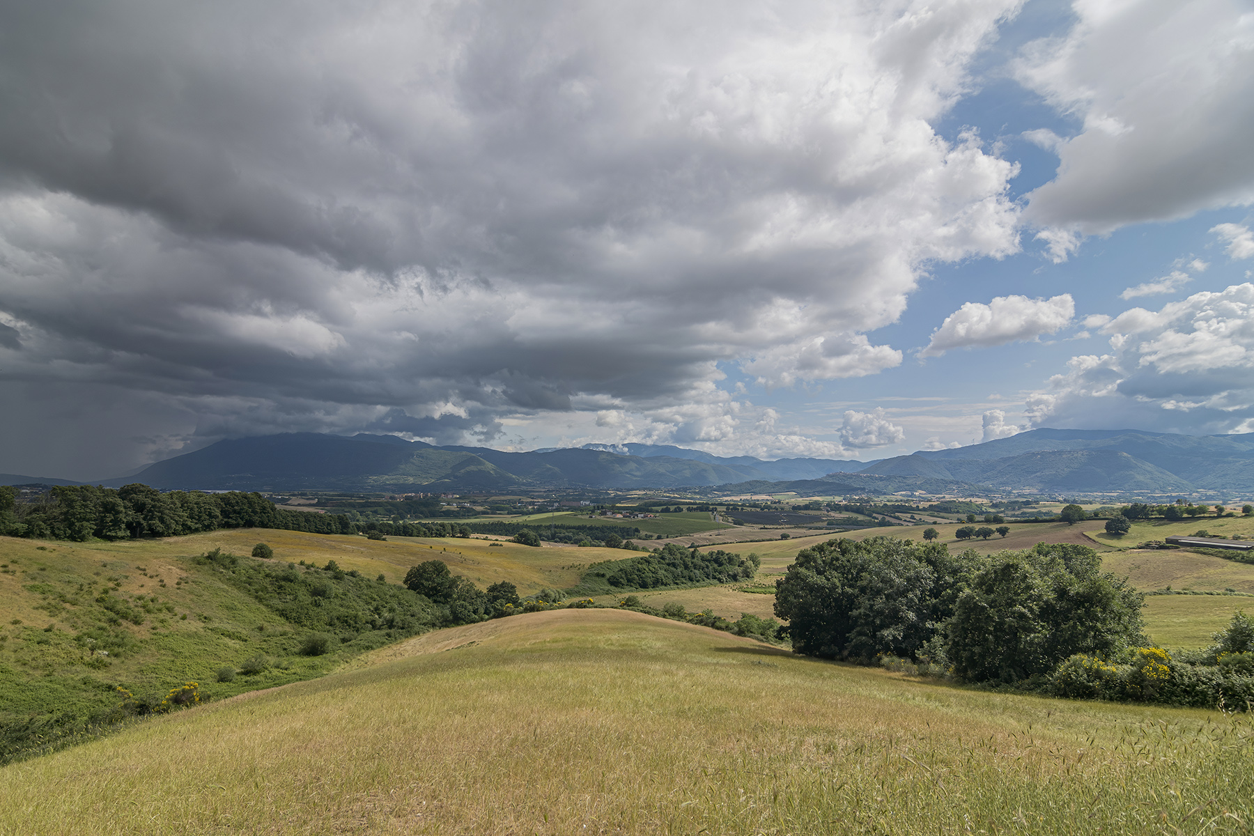 campagna romana mag2020