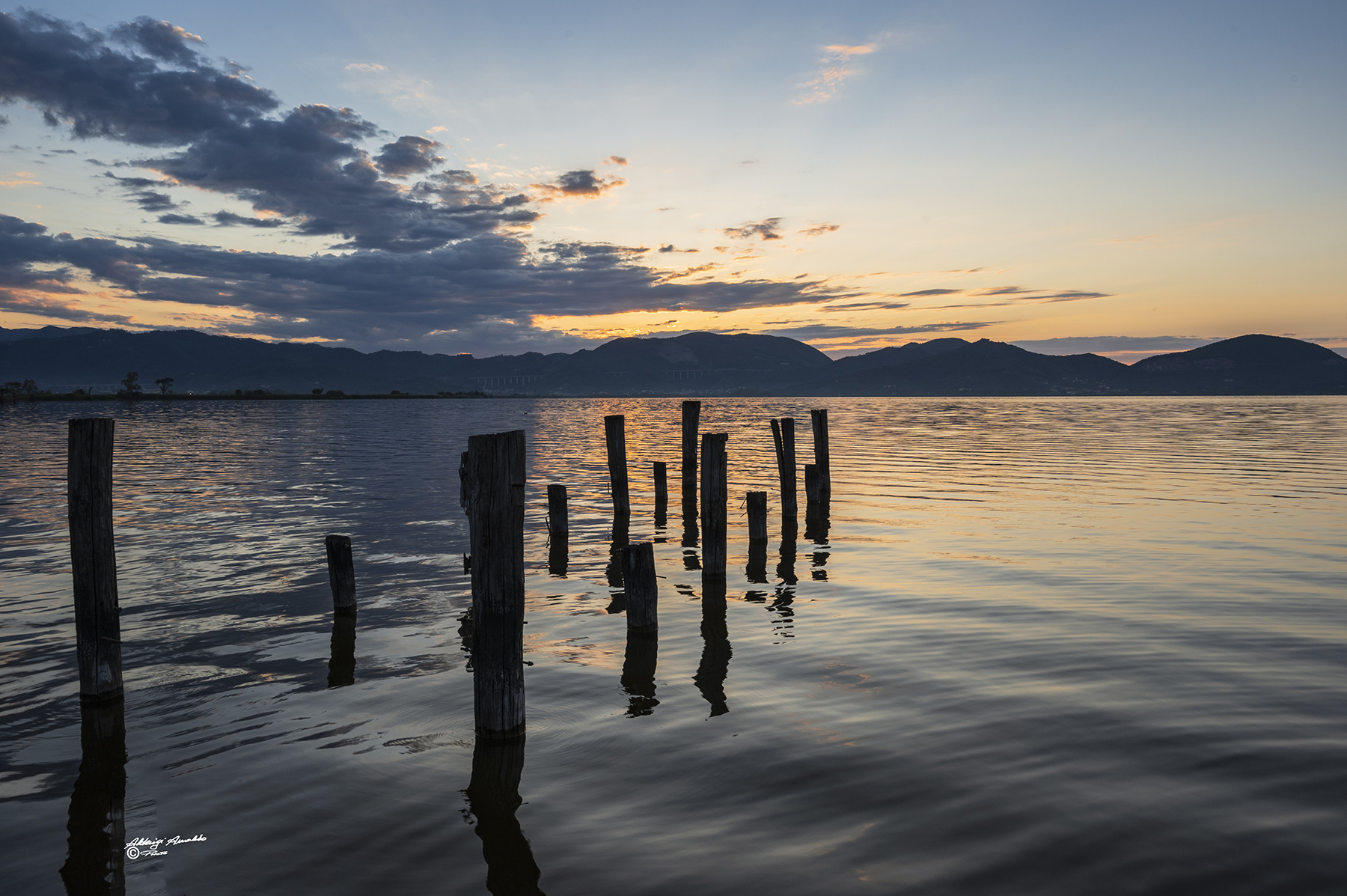 Lago Puccini. all'alba.