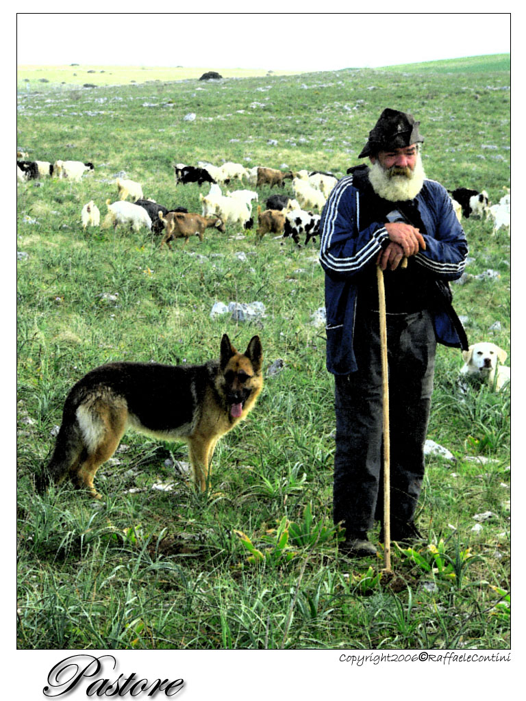 Il pastore