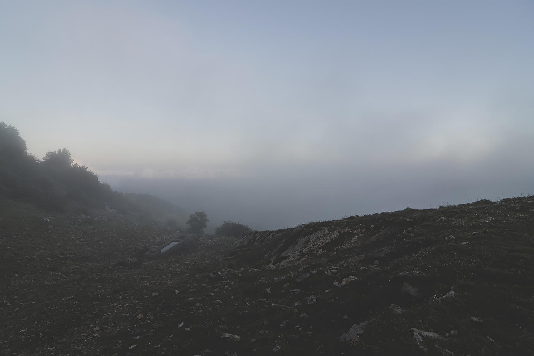 LaMentorella_RM_Giu2020