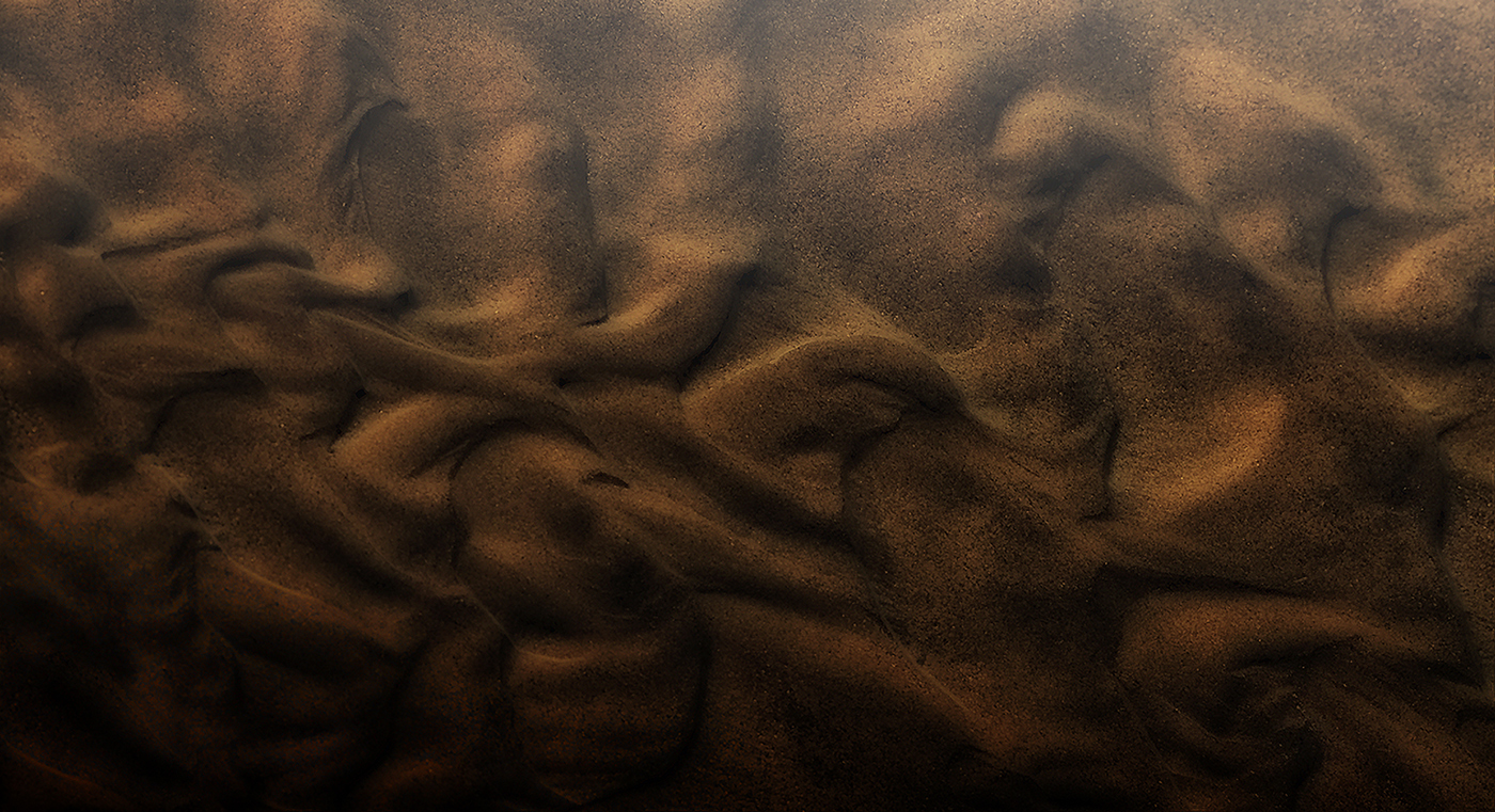 impermanenza delle forme