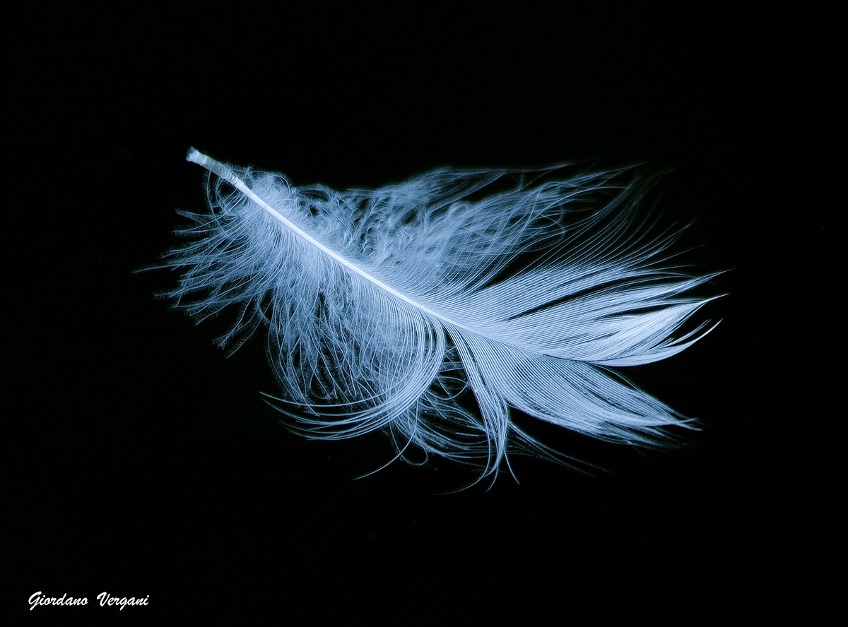 Impalpabile leggerezza