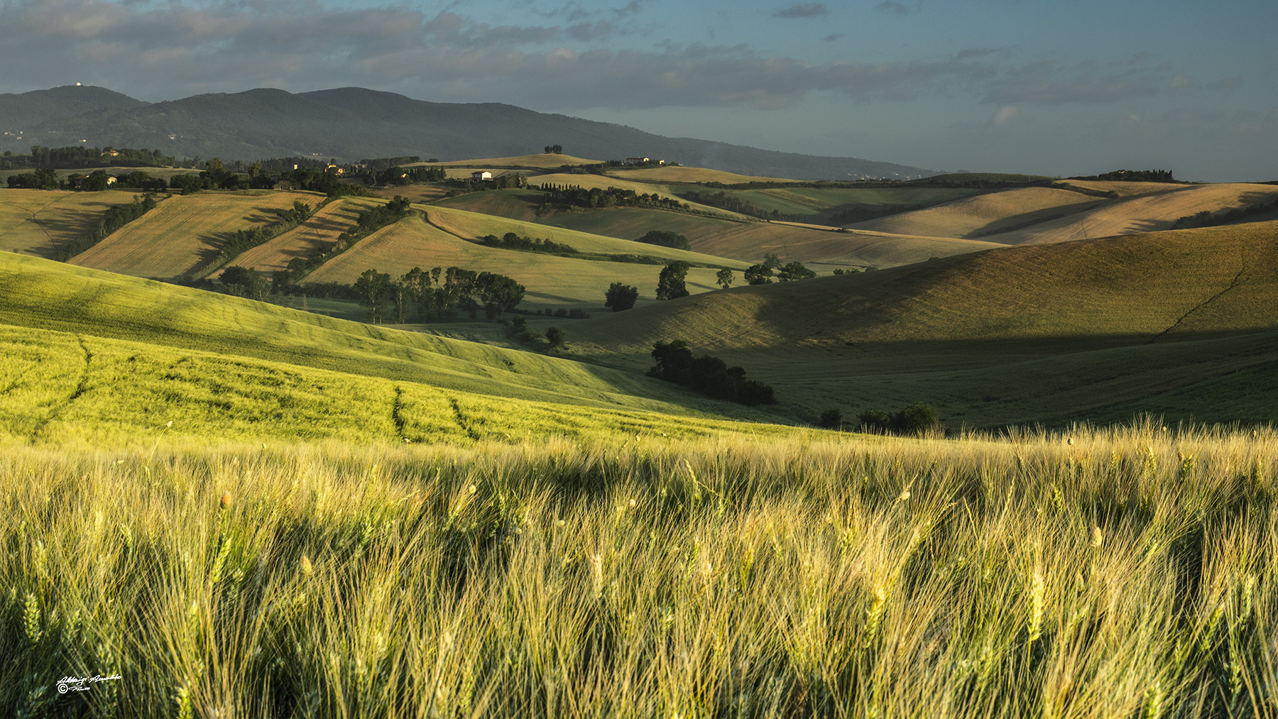 Color della campagna