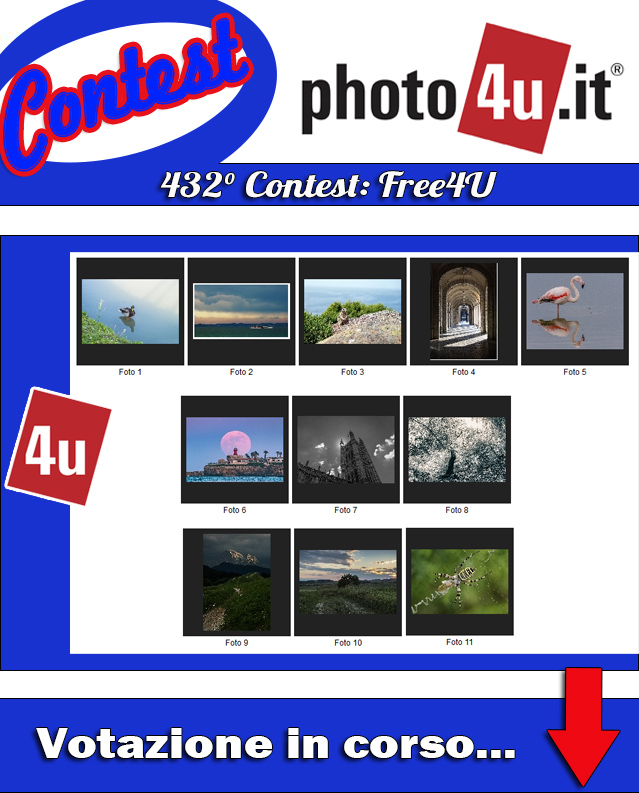 432� Contest: Free4U Votazione in corso...