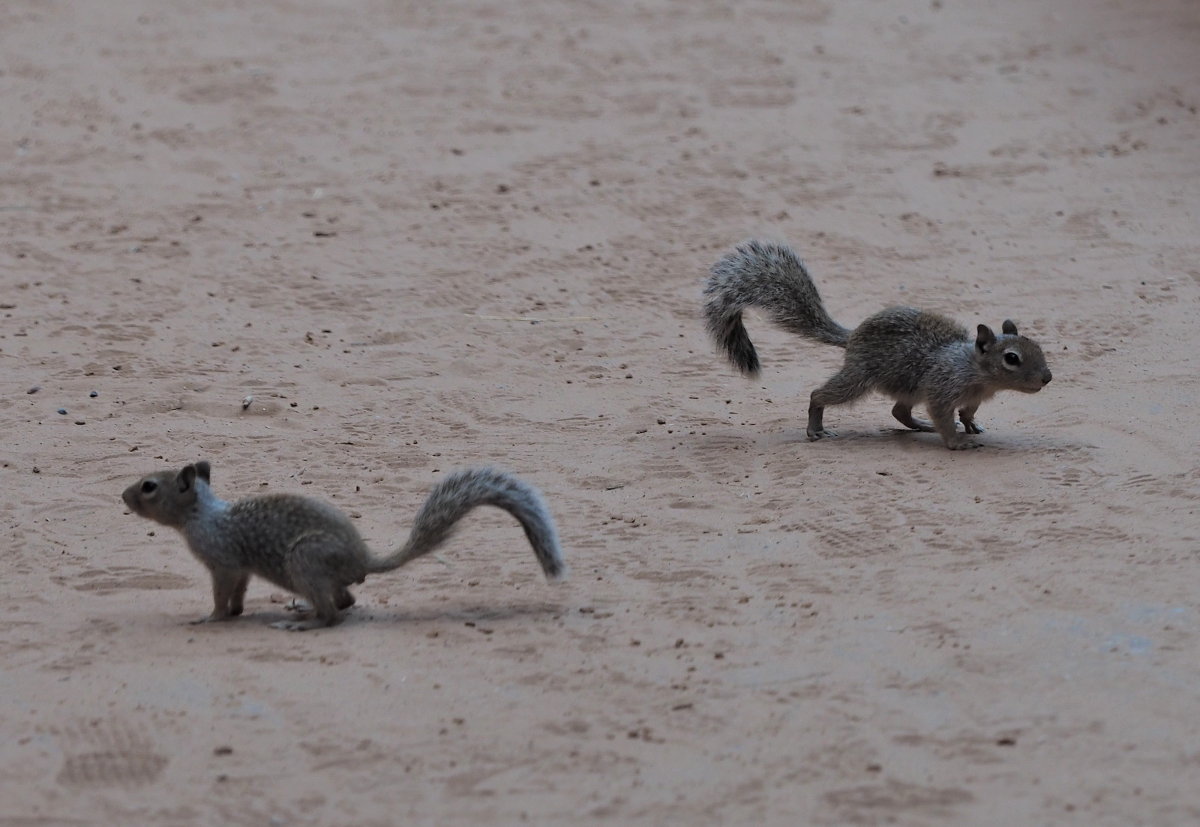 e qu� le nostre strade si dividono....