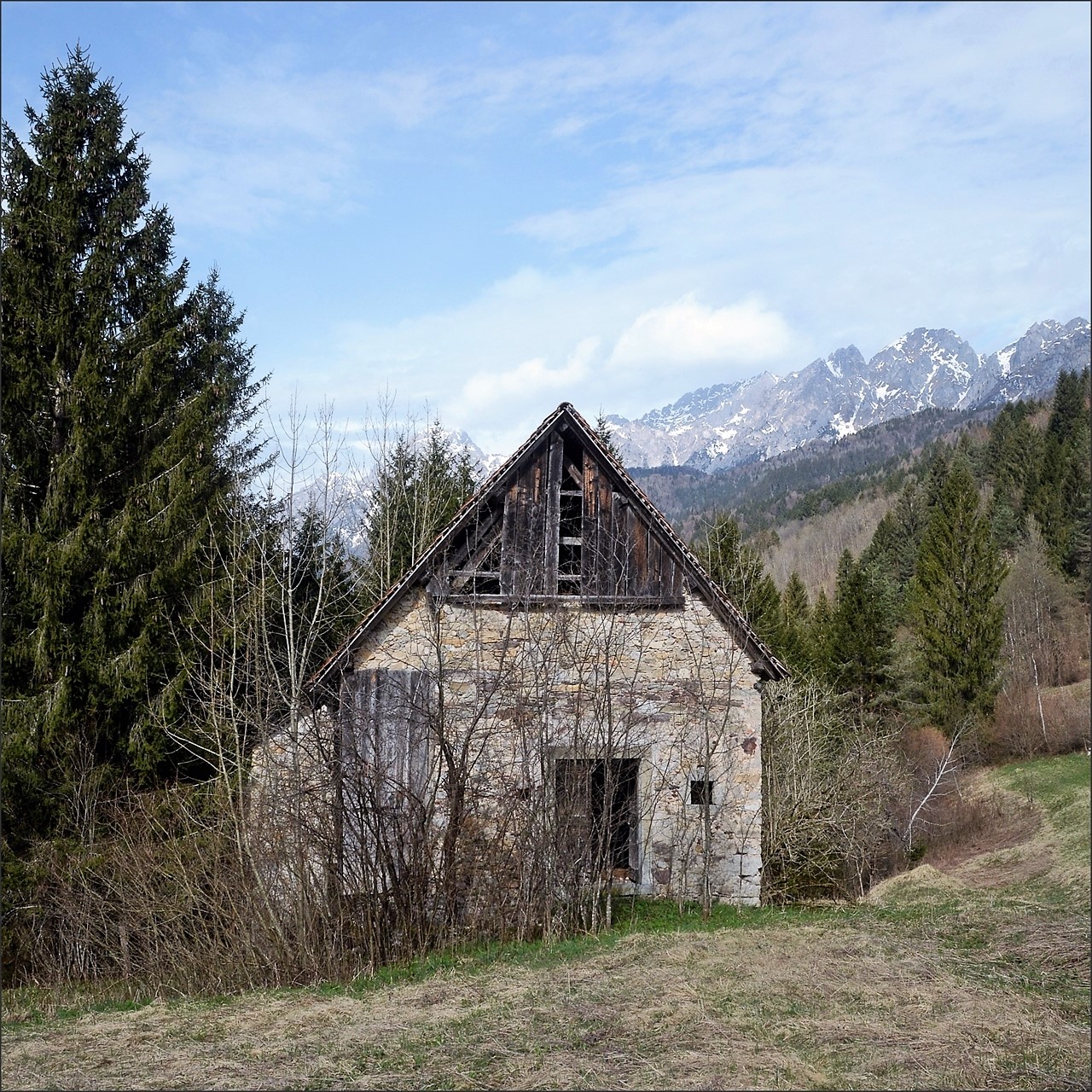 Paesaggio Carnico (UD)