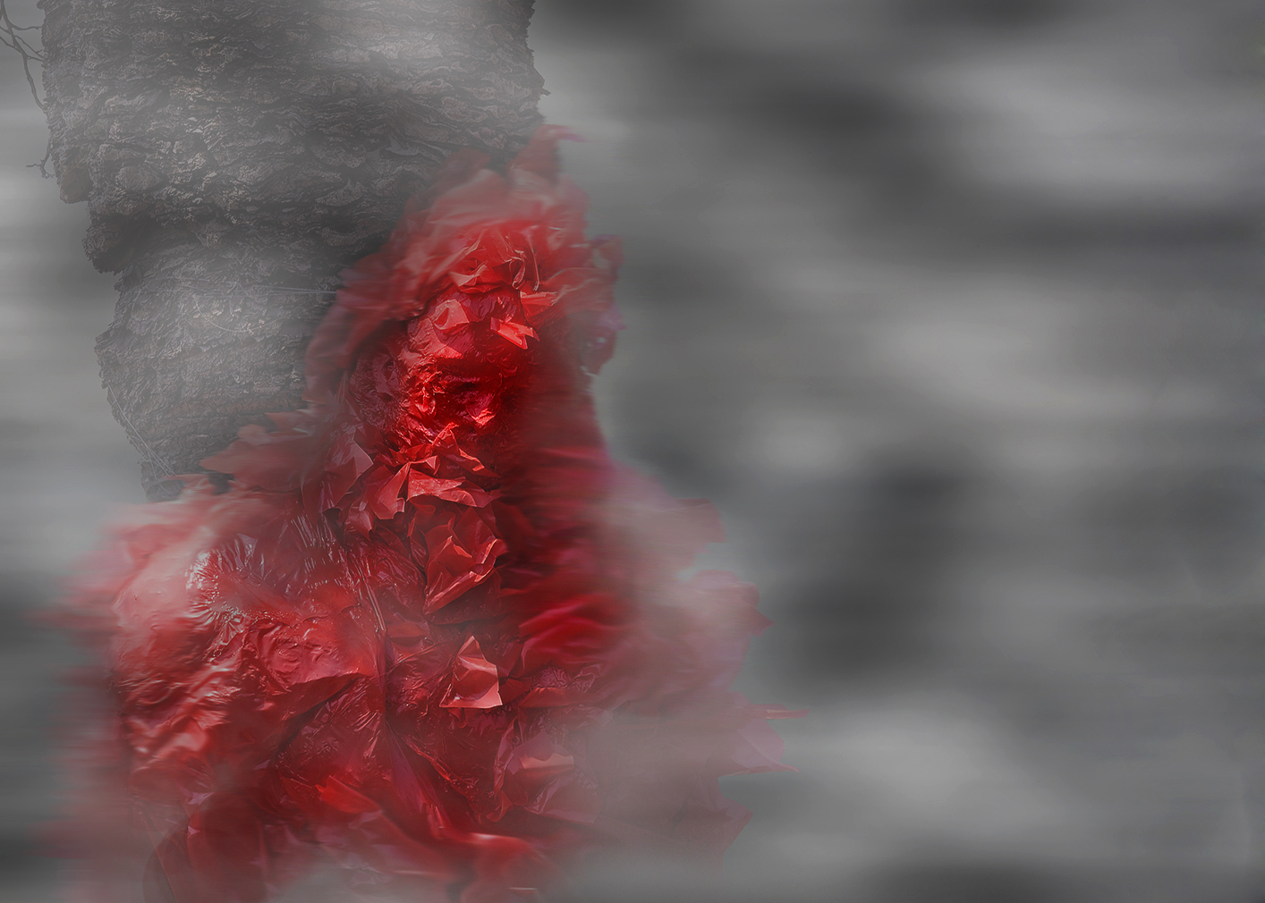 dal sogno.......sfaldarsi