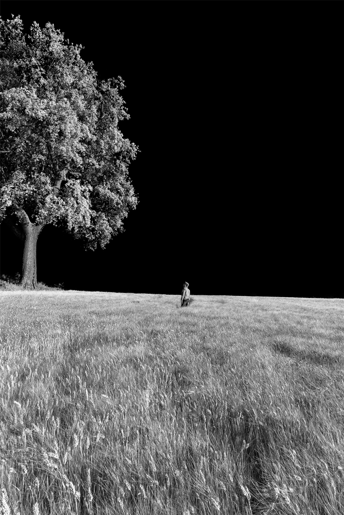 Nel mezzo del cammin di nostra vita..