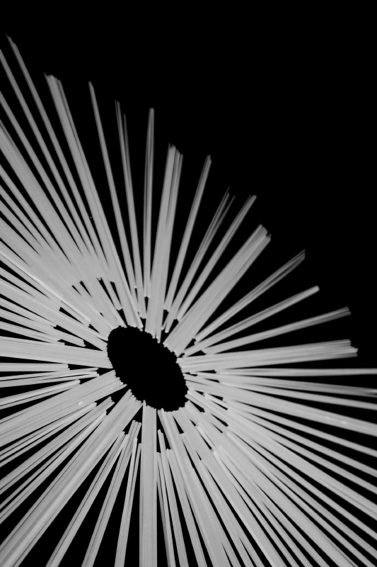 liberty style( prove sempre per il contestlinee)