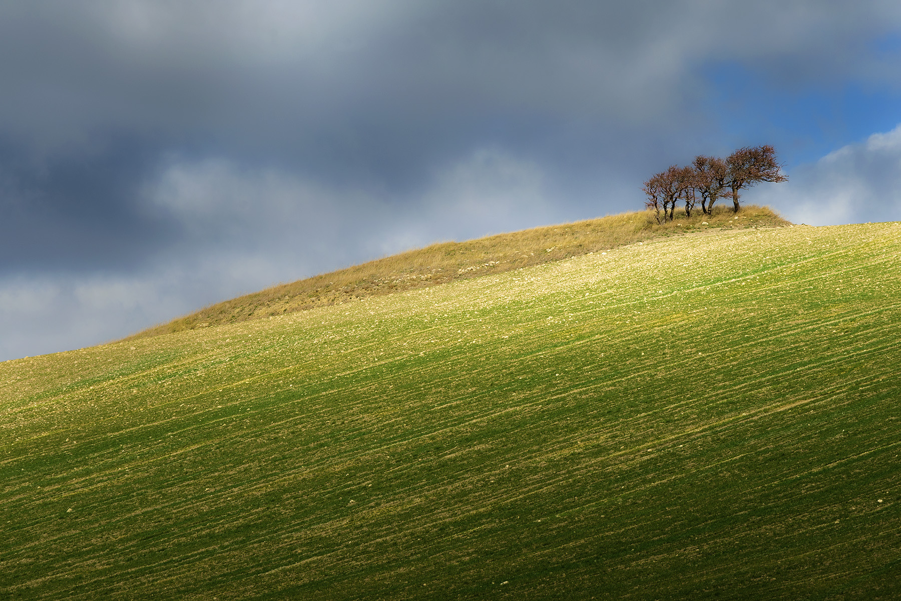 La solitudine dei numeri primi.