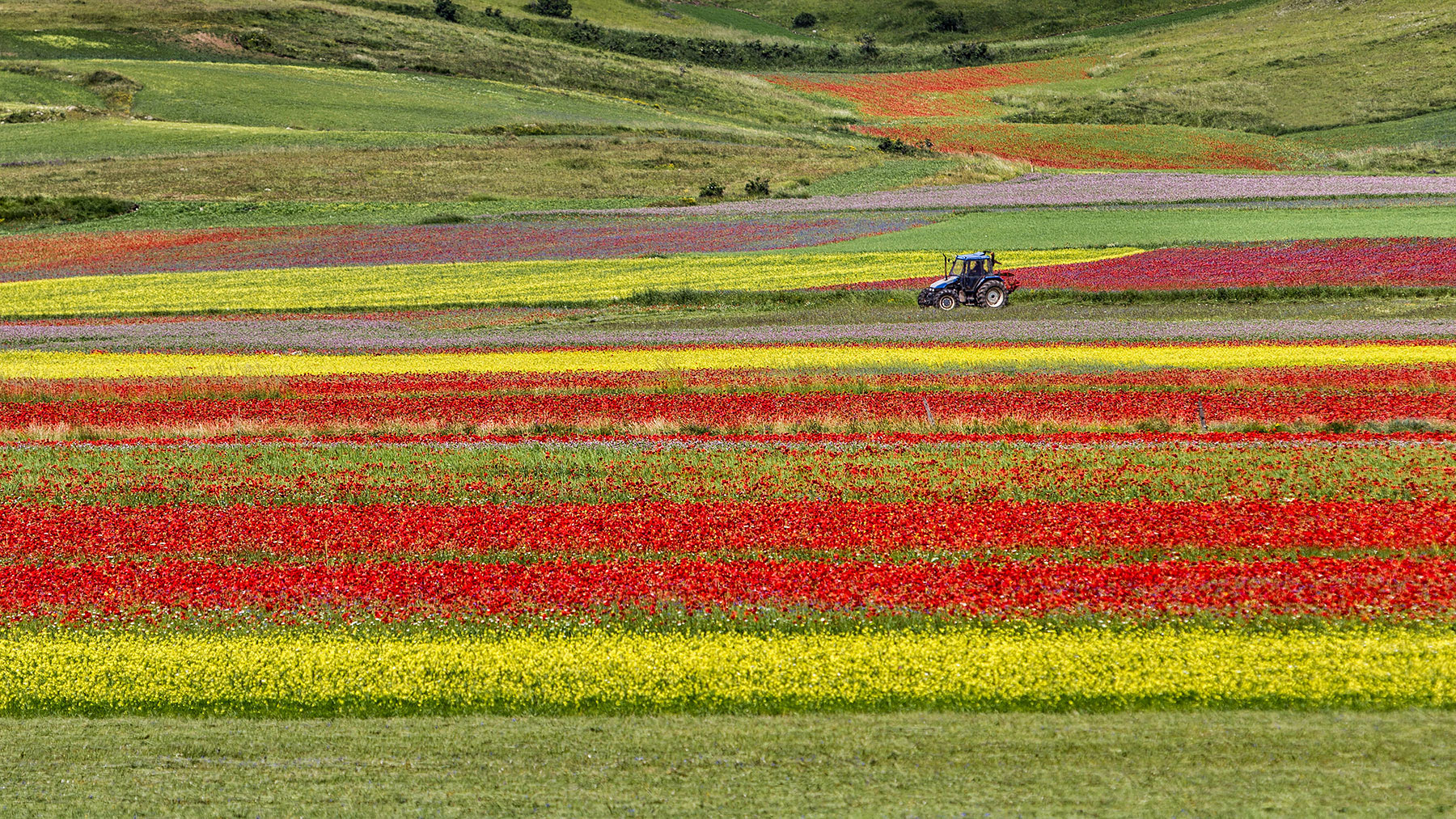 Working on the colours