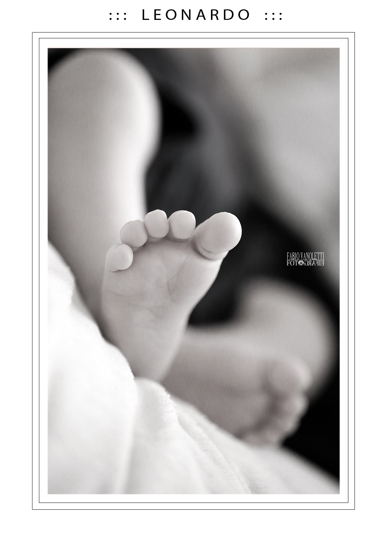 ::: L E O N A R D O :::