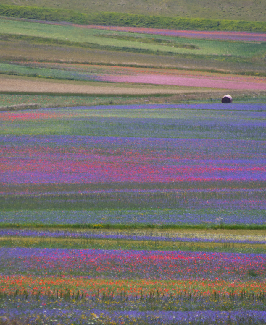 Il mio Castelluccio impressionista