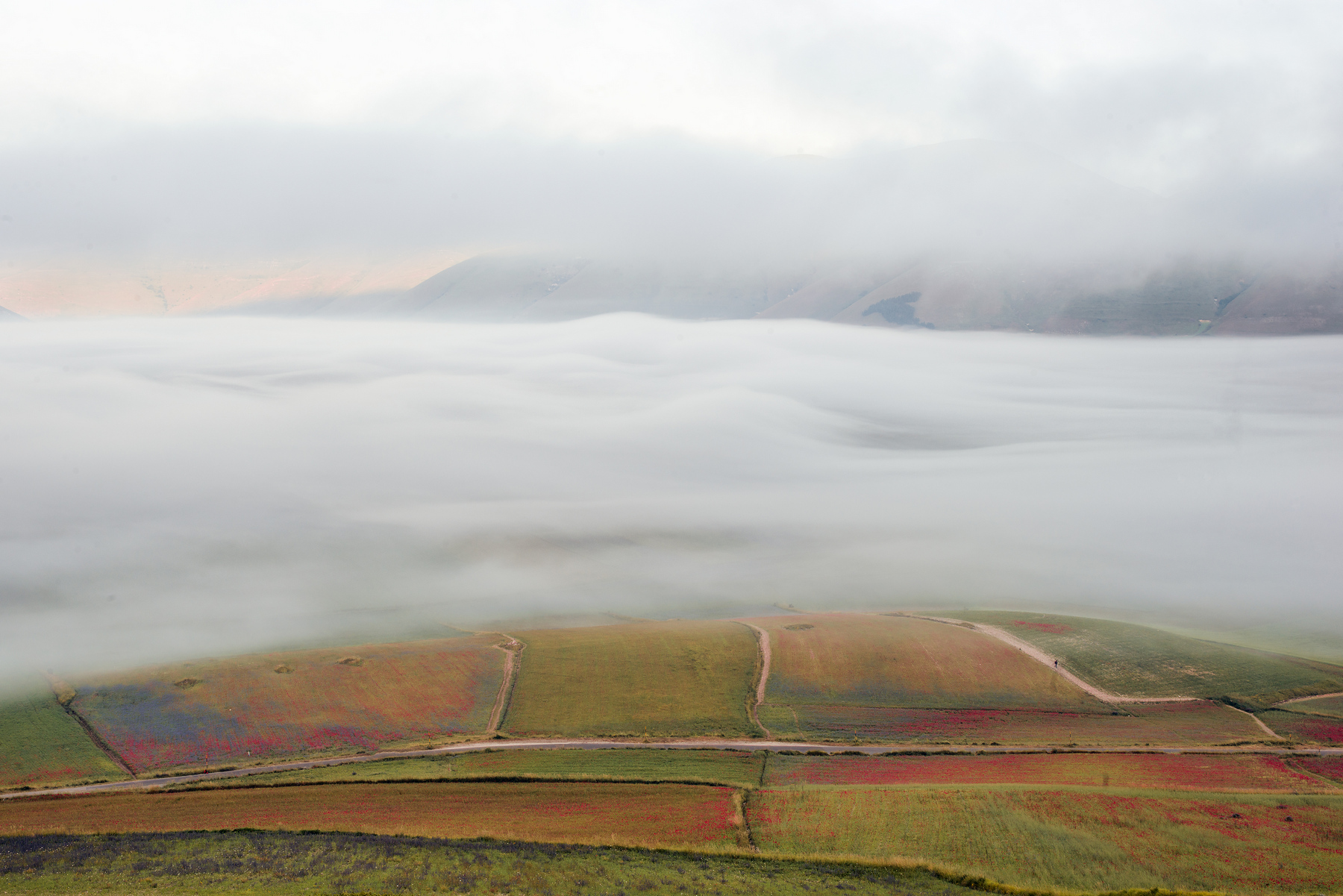 Castelluccio