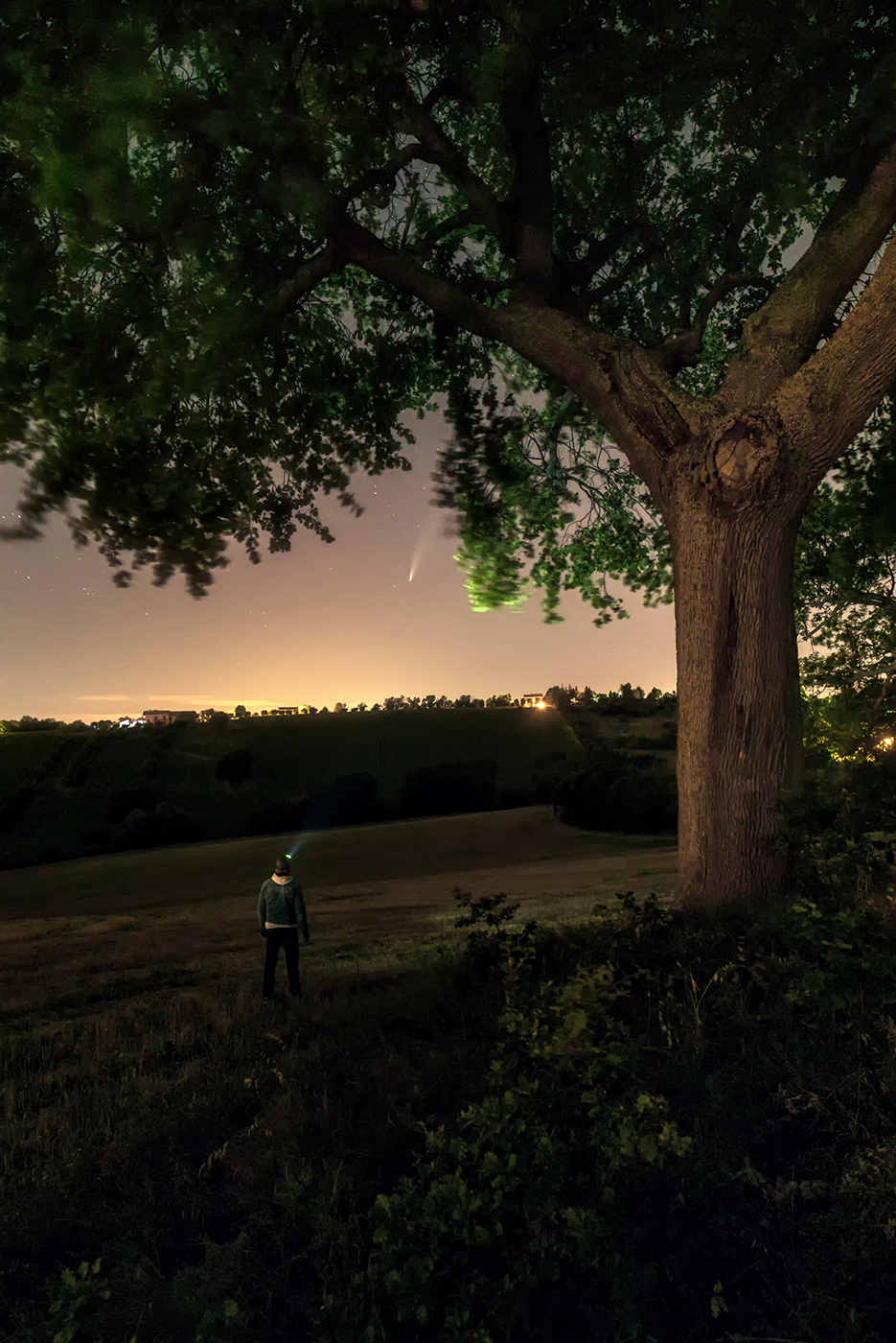 La mia piccola cometa