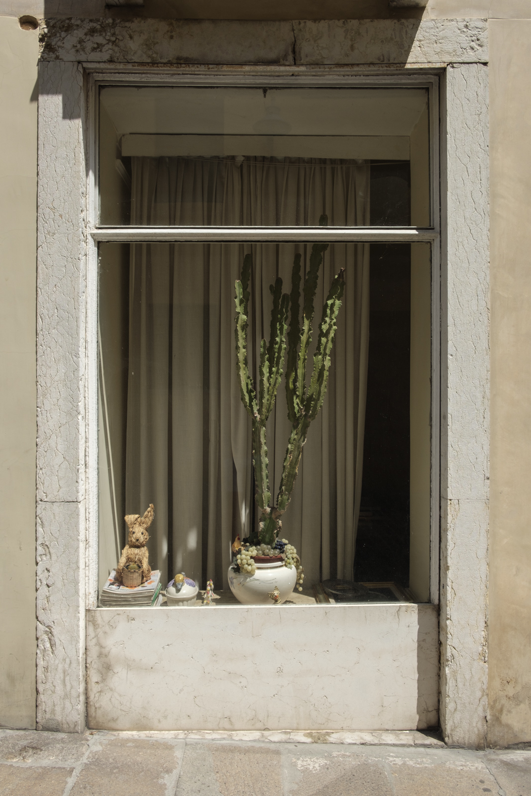 La semplicit� in vetrina