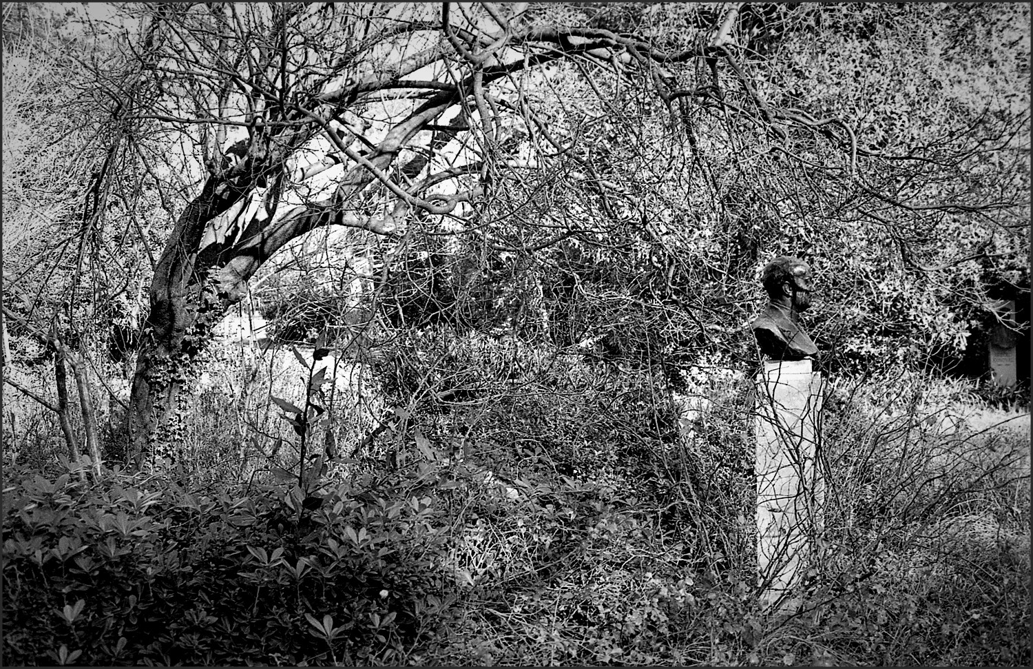 La solitudine dei numeri primi