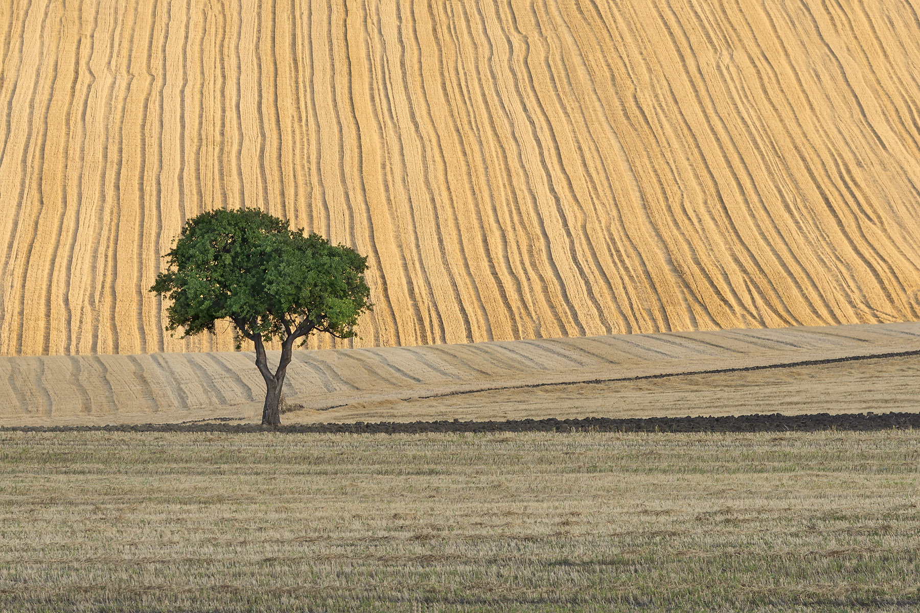 Se non ti arrampichi , non puoi cadere. Ma vivere tutta la vita sul terreno non ti dar� gioia.