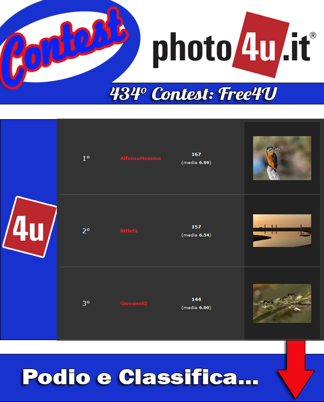 434� Contest: Free4U Podio e Classifica