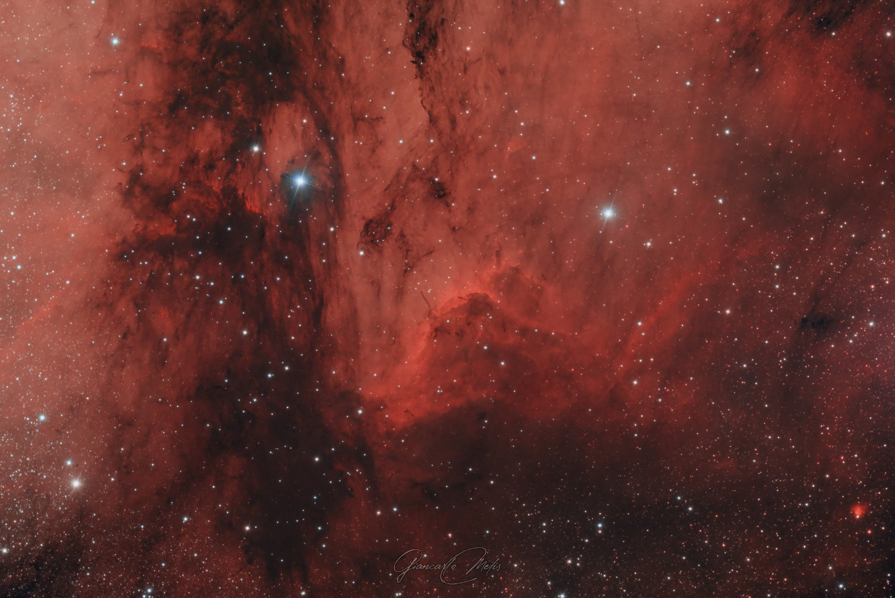 Nebulosa Pellicano