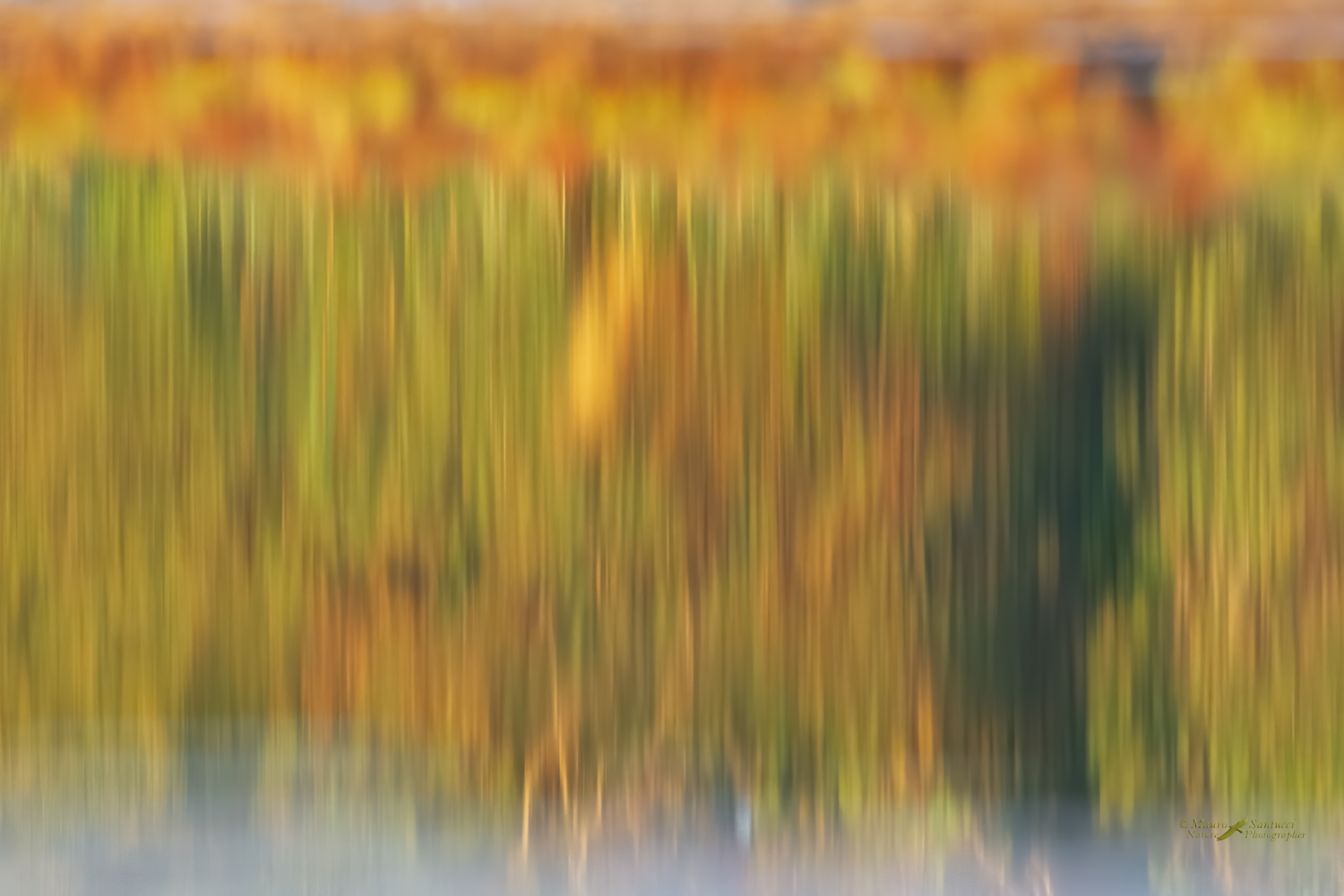 Astratti-naturali_DSC6678