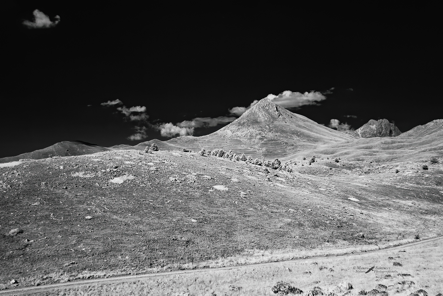 IR-landscape-DSC_5254