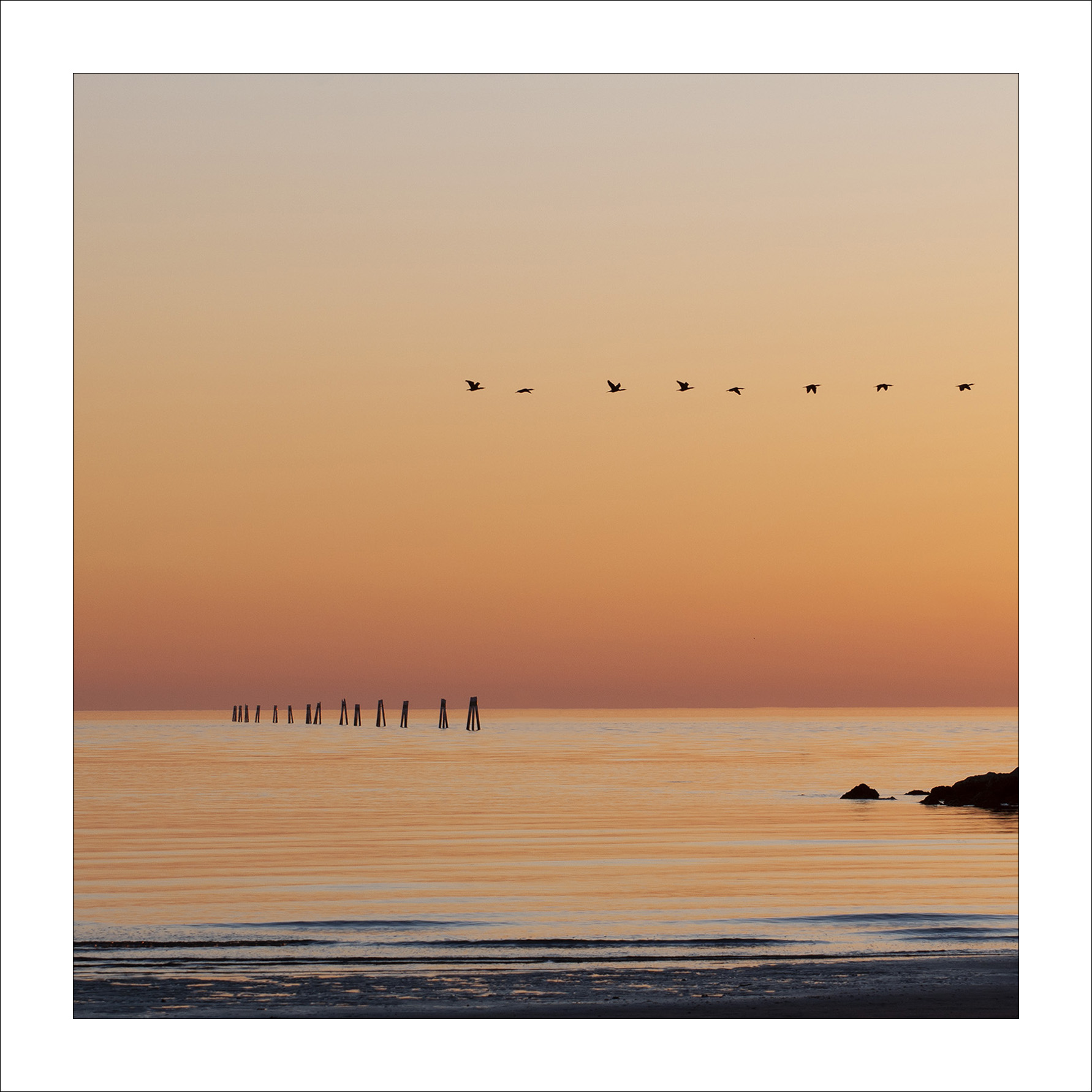 Allineamenti inversi