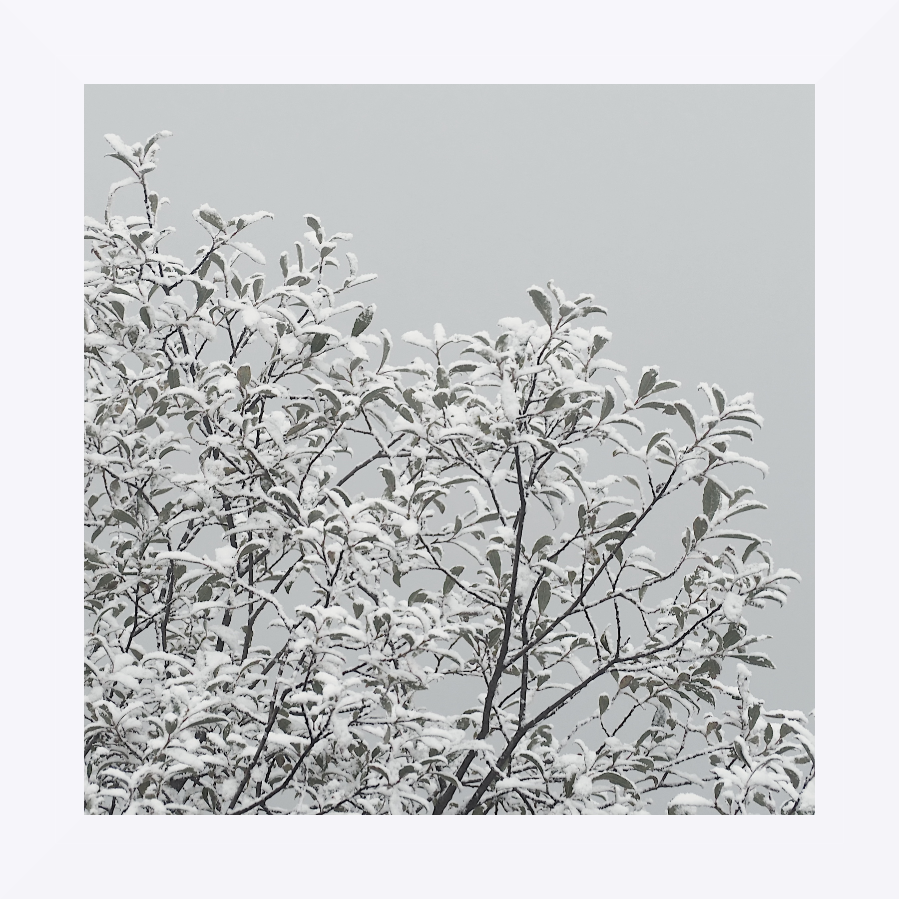 Prima spolverata di stagione