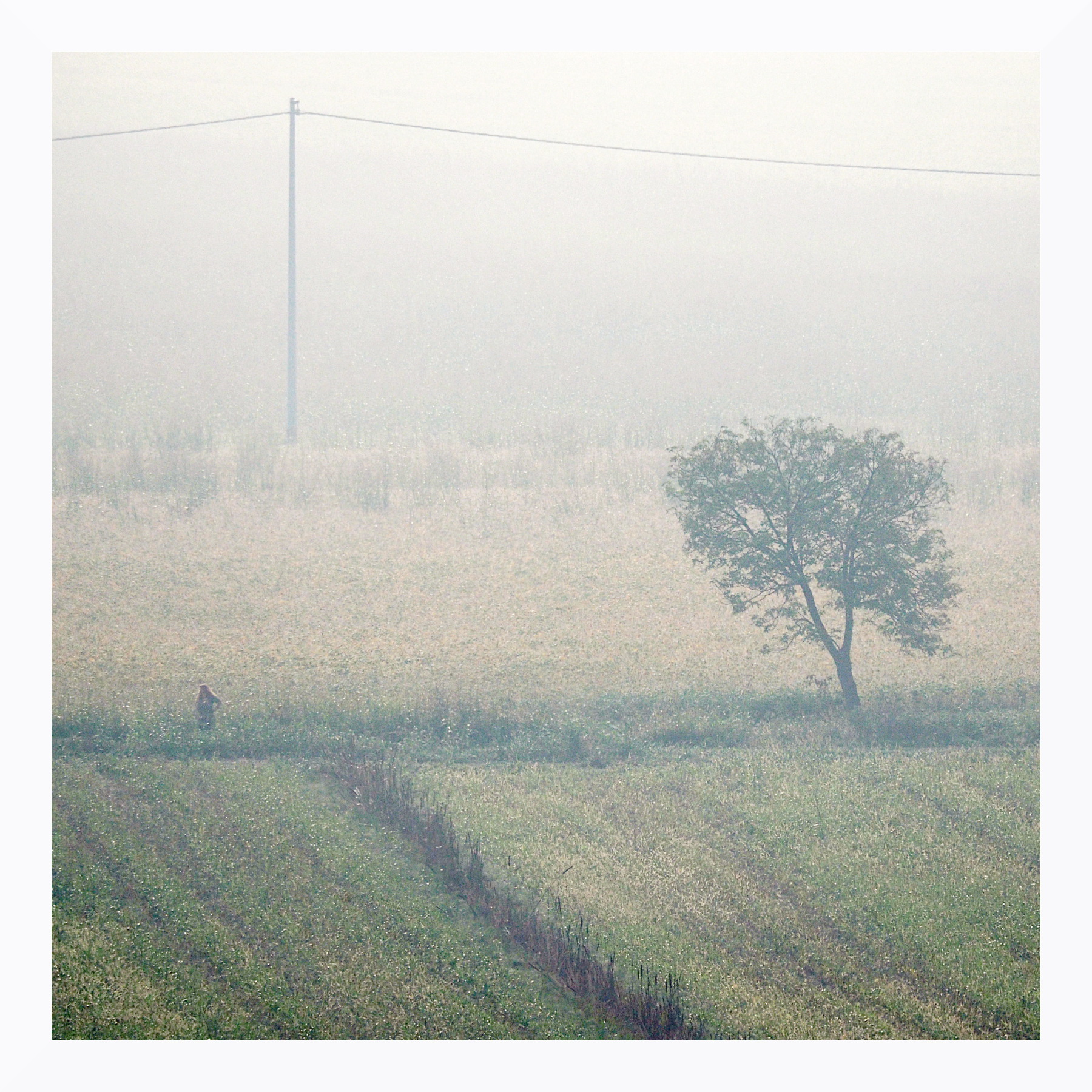 Figurina tra i campi nebbiosi