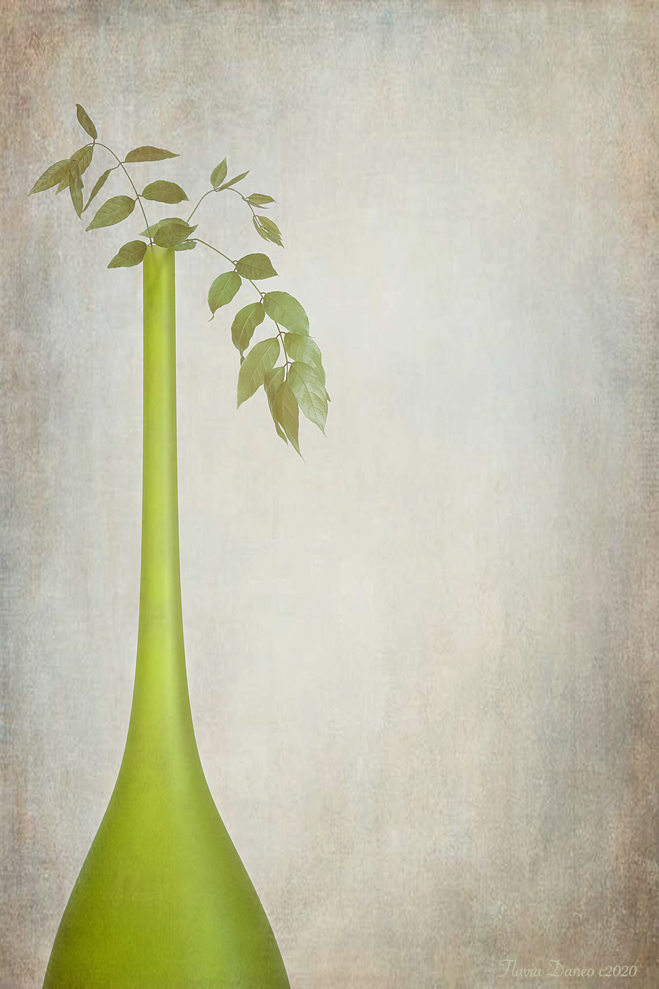 Vaso verde con foglie