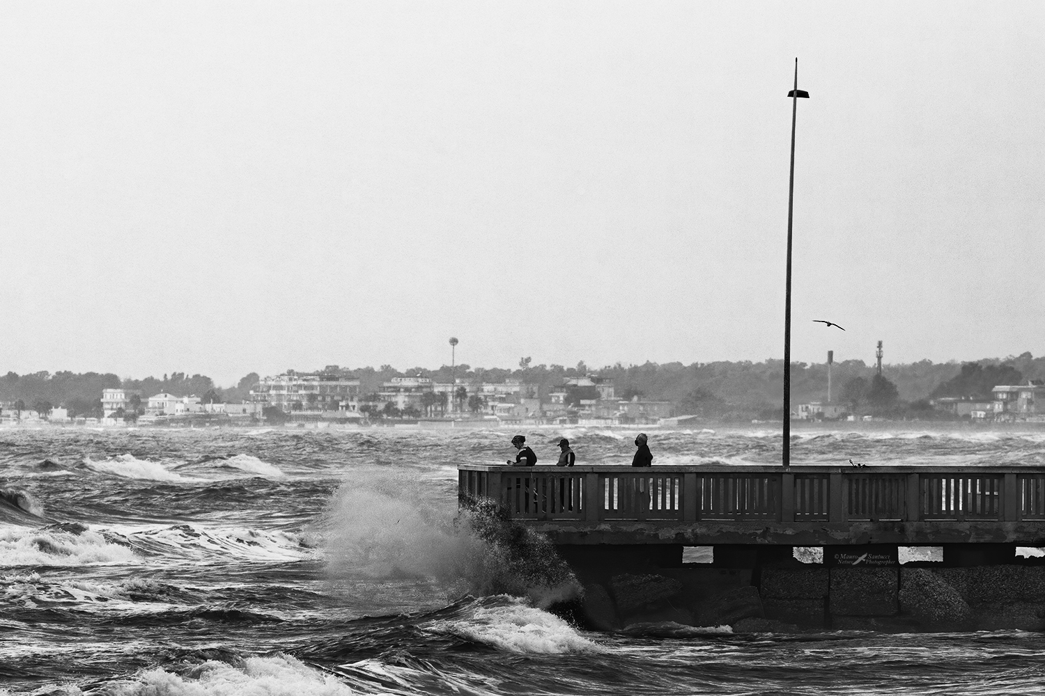 Lido-di-Latina_DSC9440