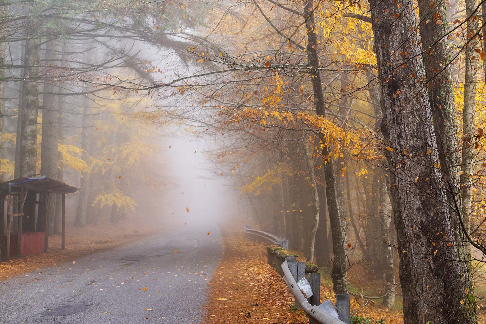Parco Nazionale dell'Aspromonte