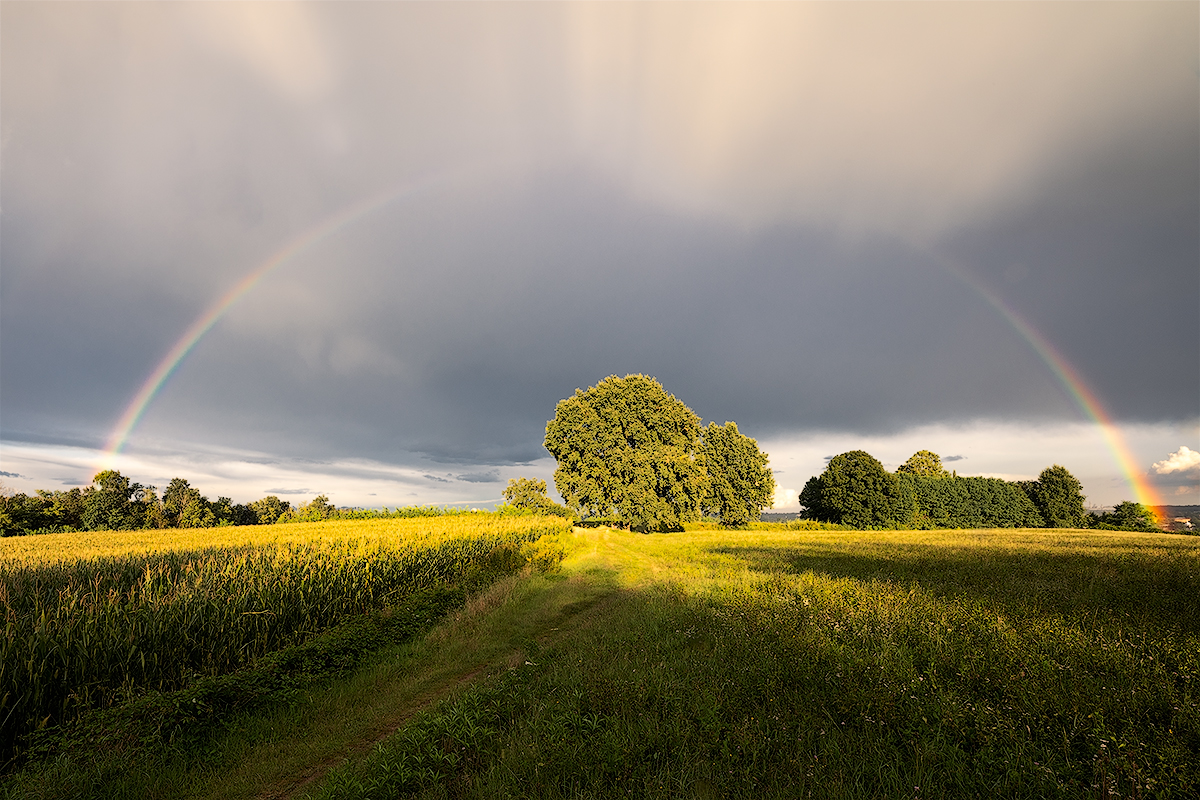 Rainbow on the countryside