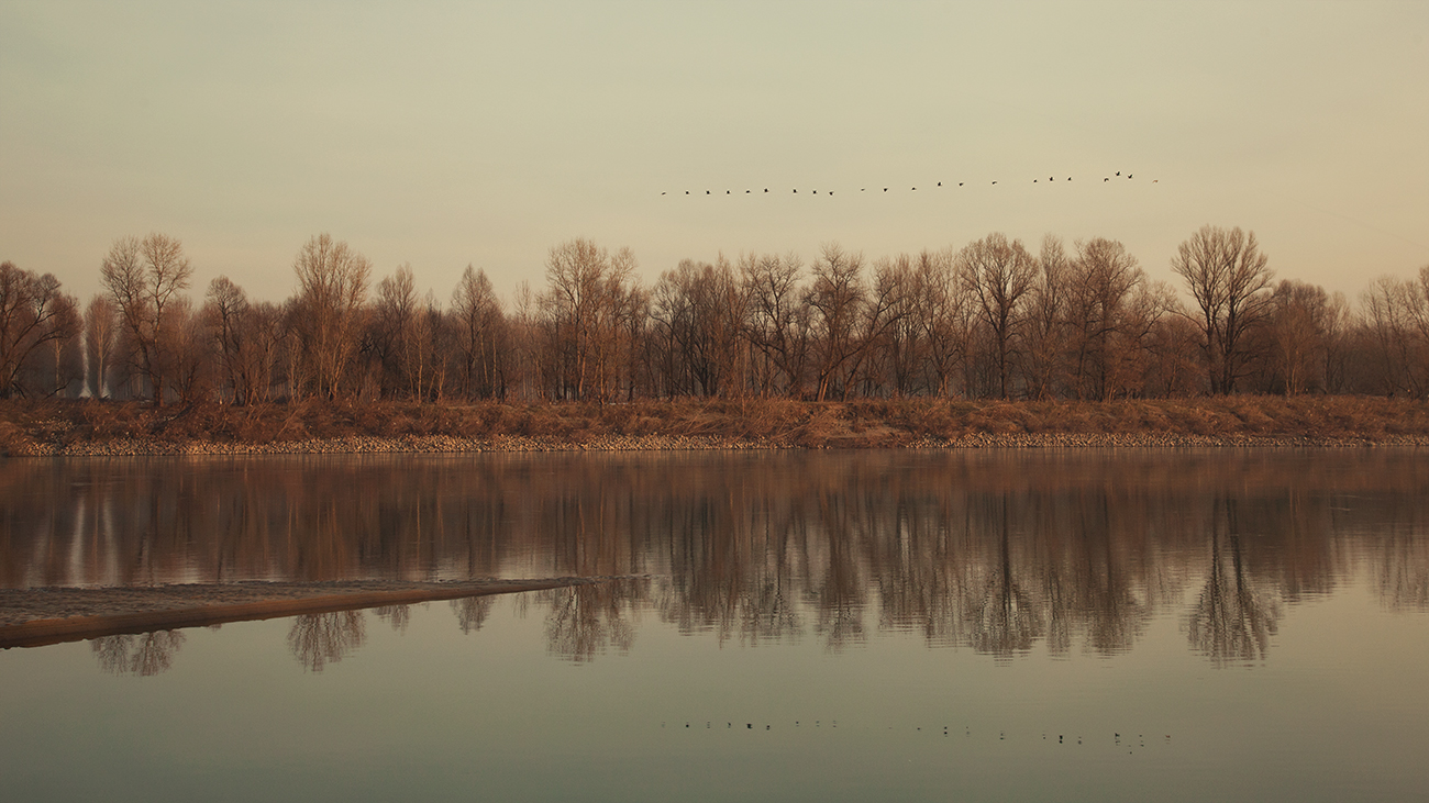 Stasera gli Alberi Piangono
