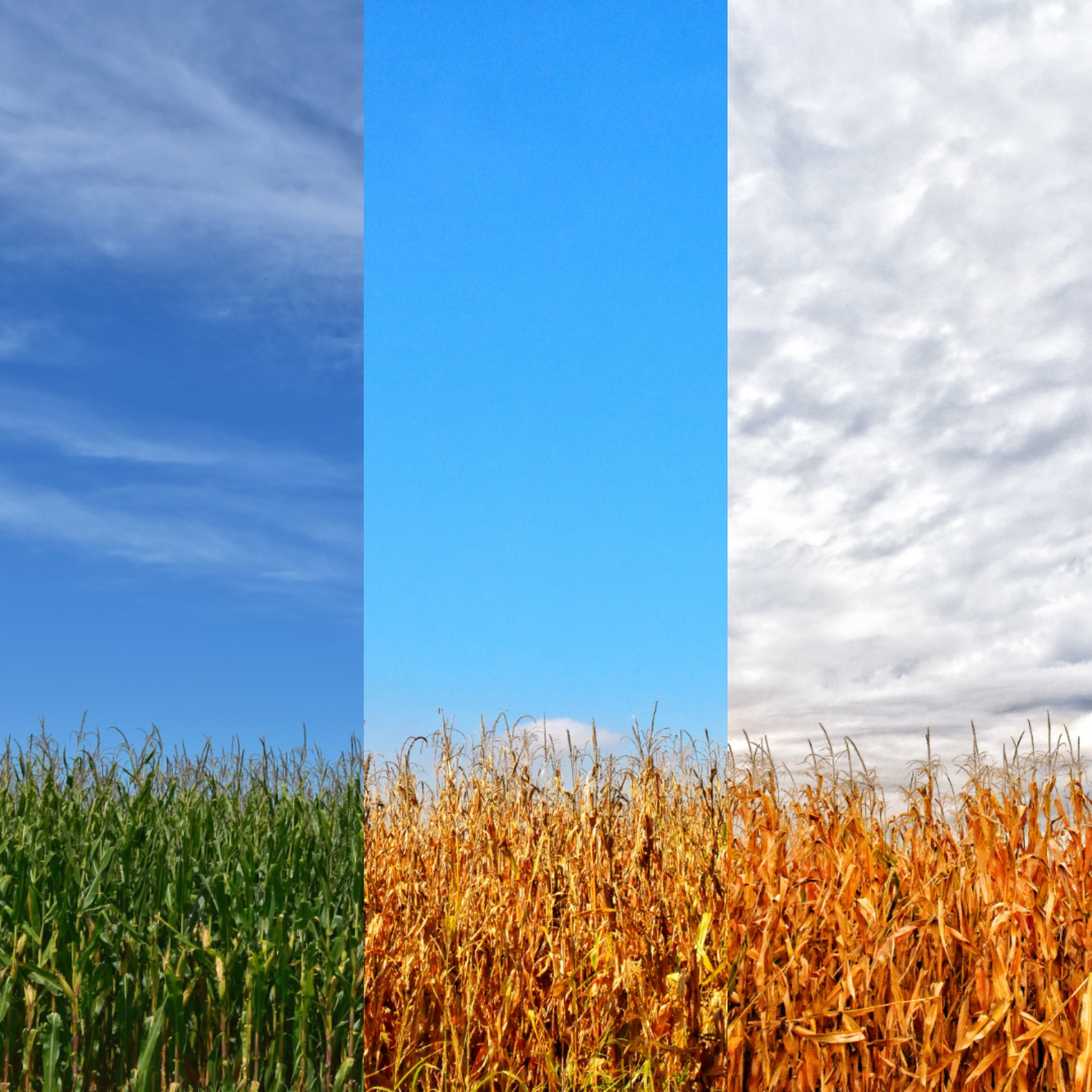 Luglio-Agosto-Settembre