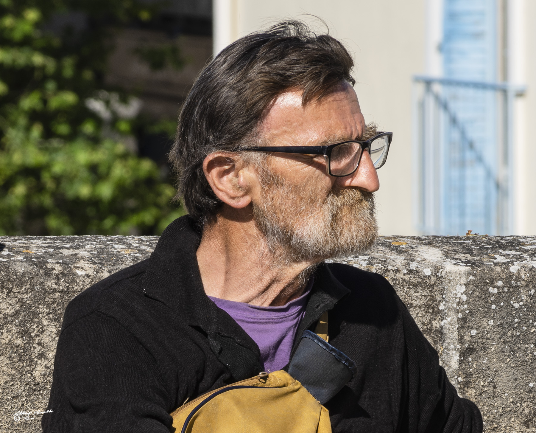 Arlesiano. Ritratto di profilo.