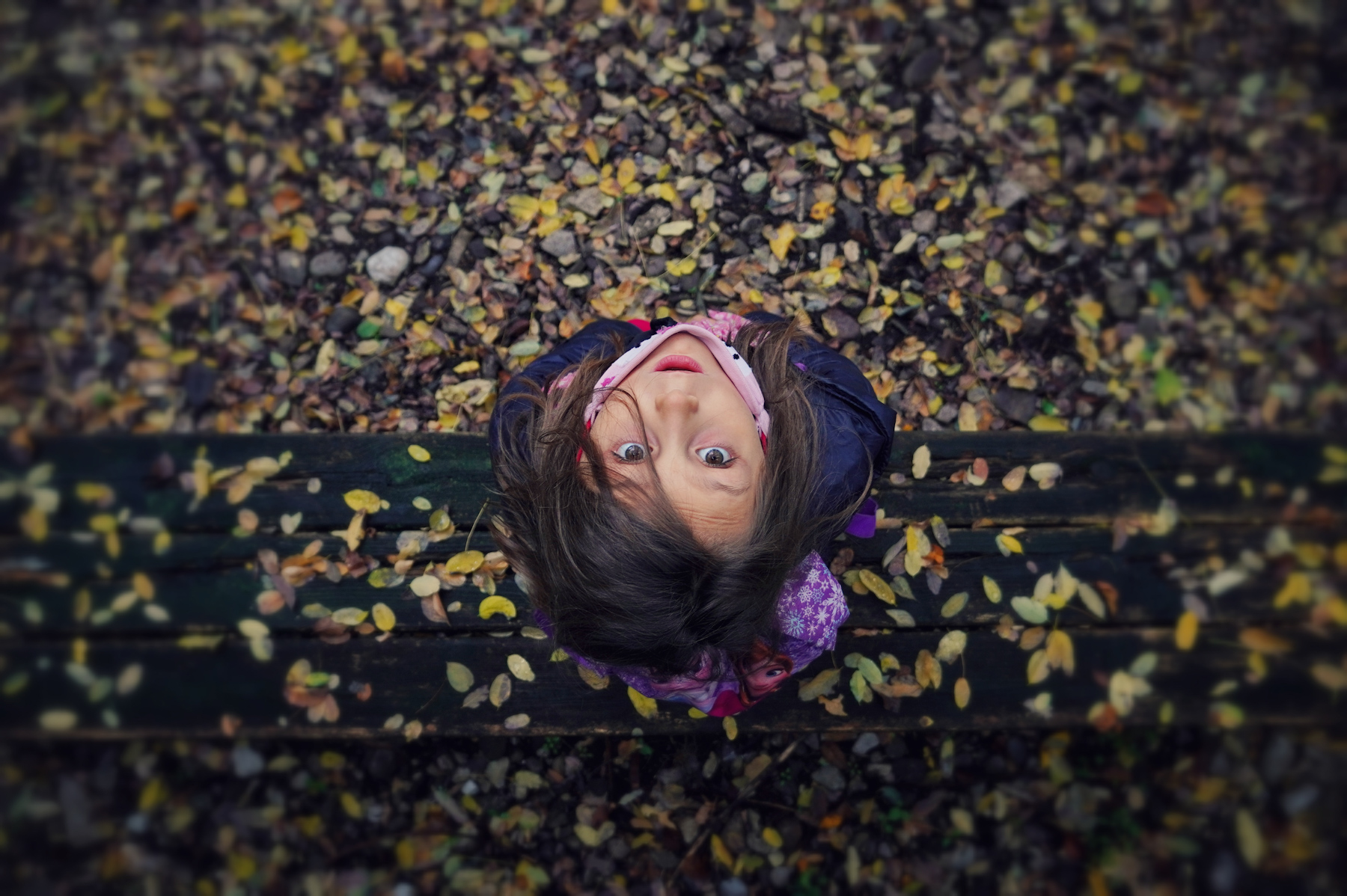 � una somma di piccole cose