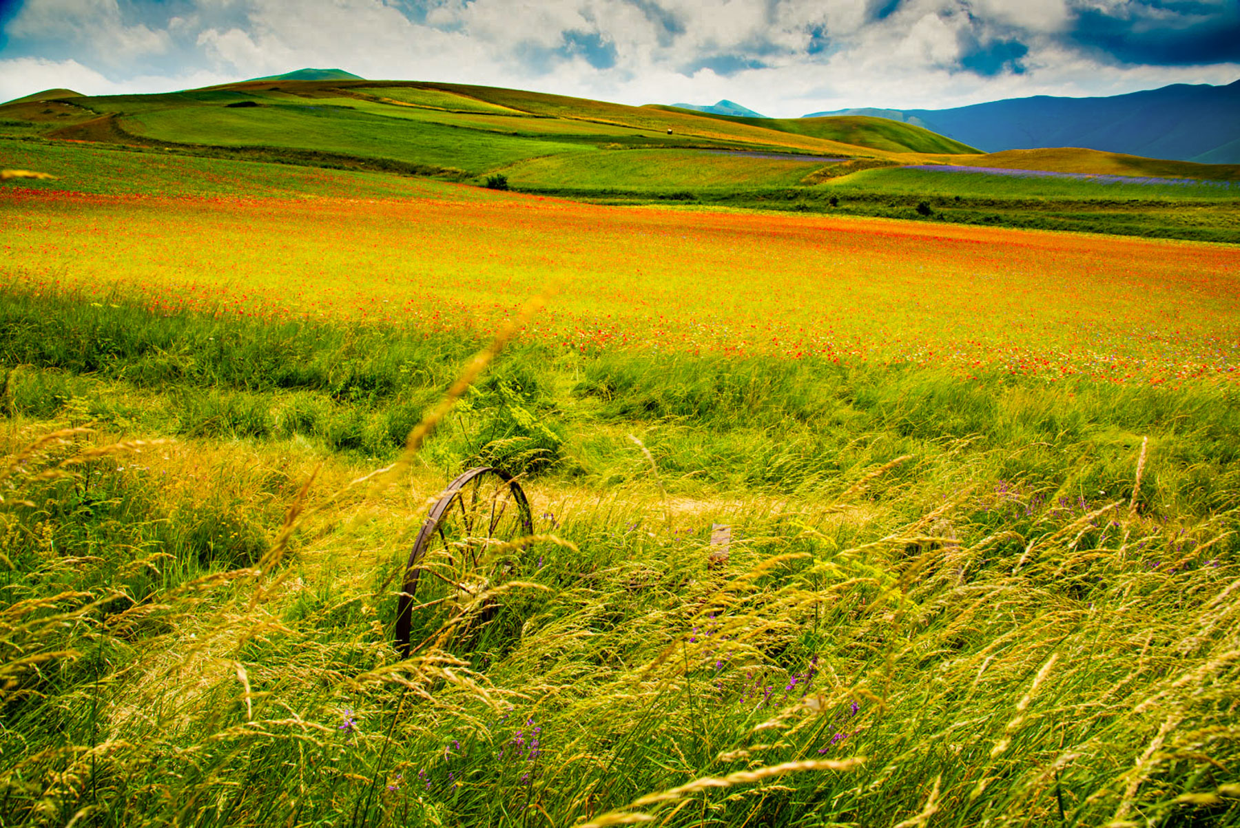 L'ultima ruota del carro