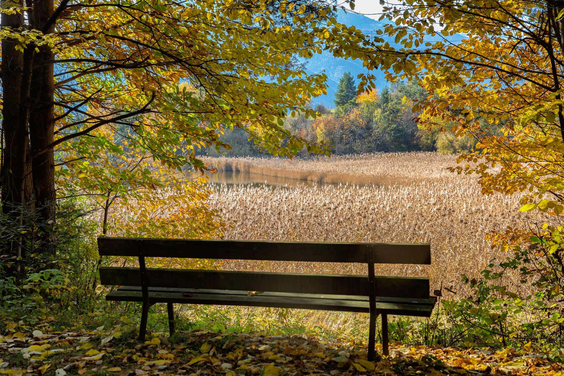 Si apre il sipario: l'autunno.