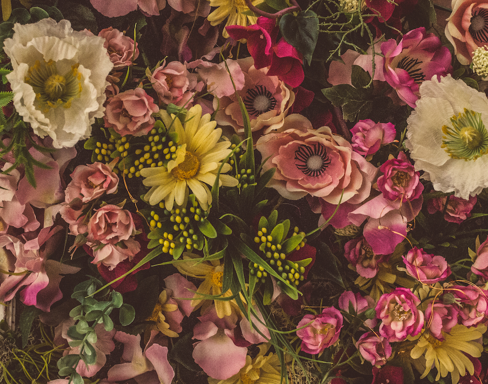 Natura quasi morta...