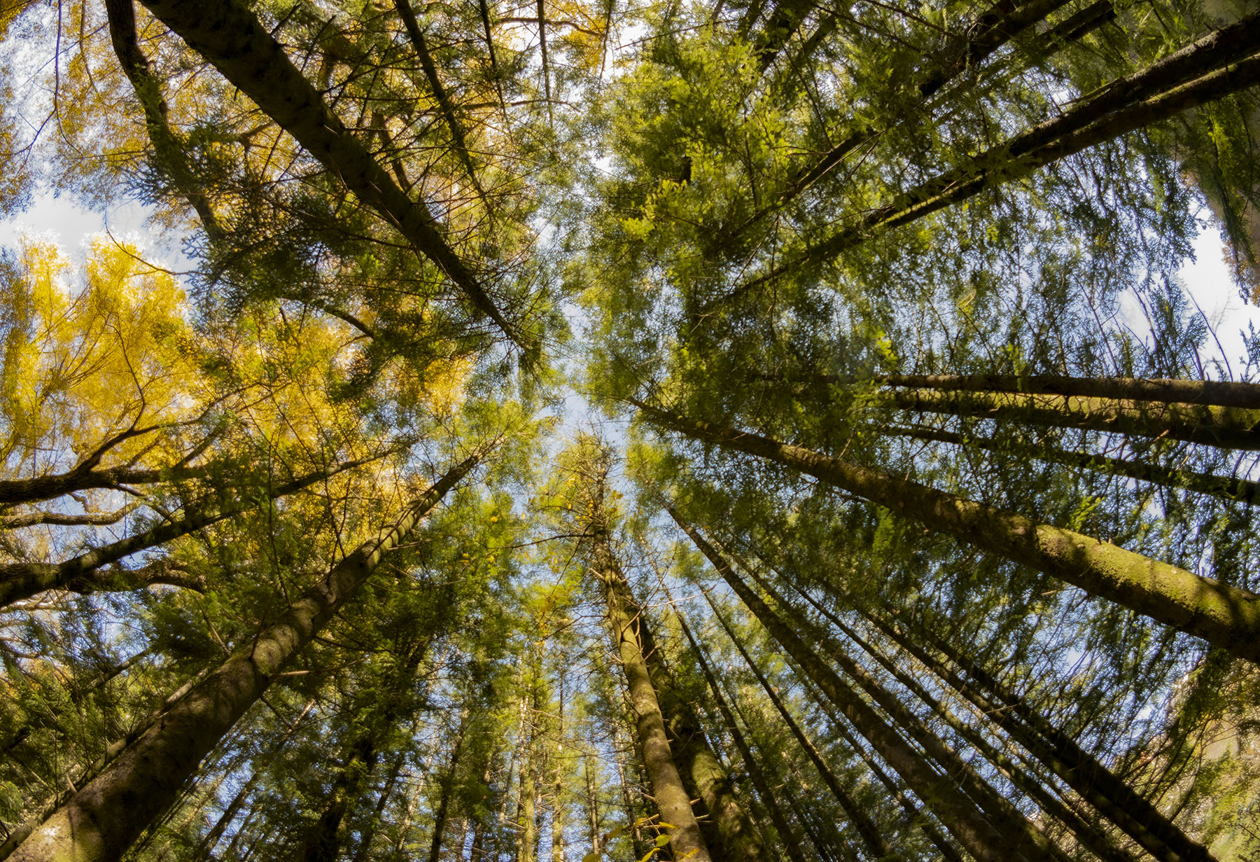 Filettino_FR_Nov2020