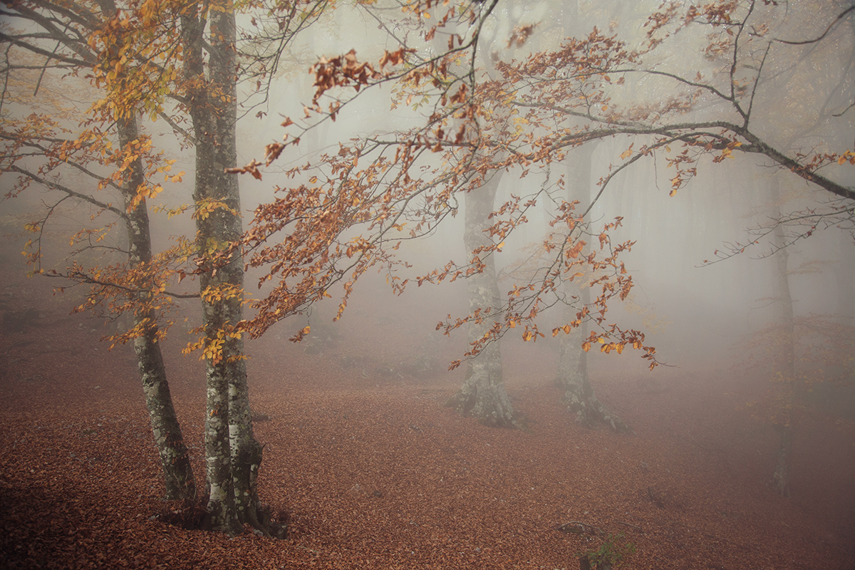 il Riposo del Guerriero