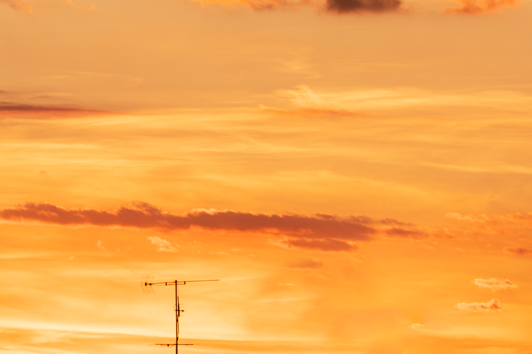 Toscana ... ultime notizie!