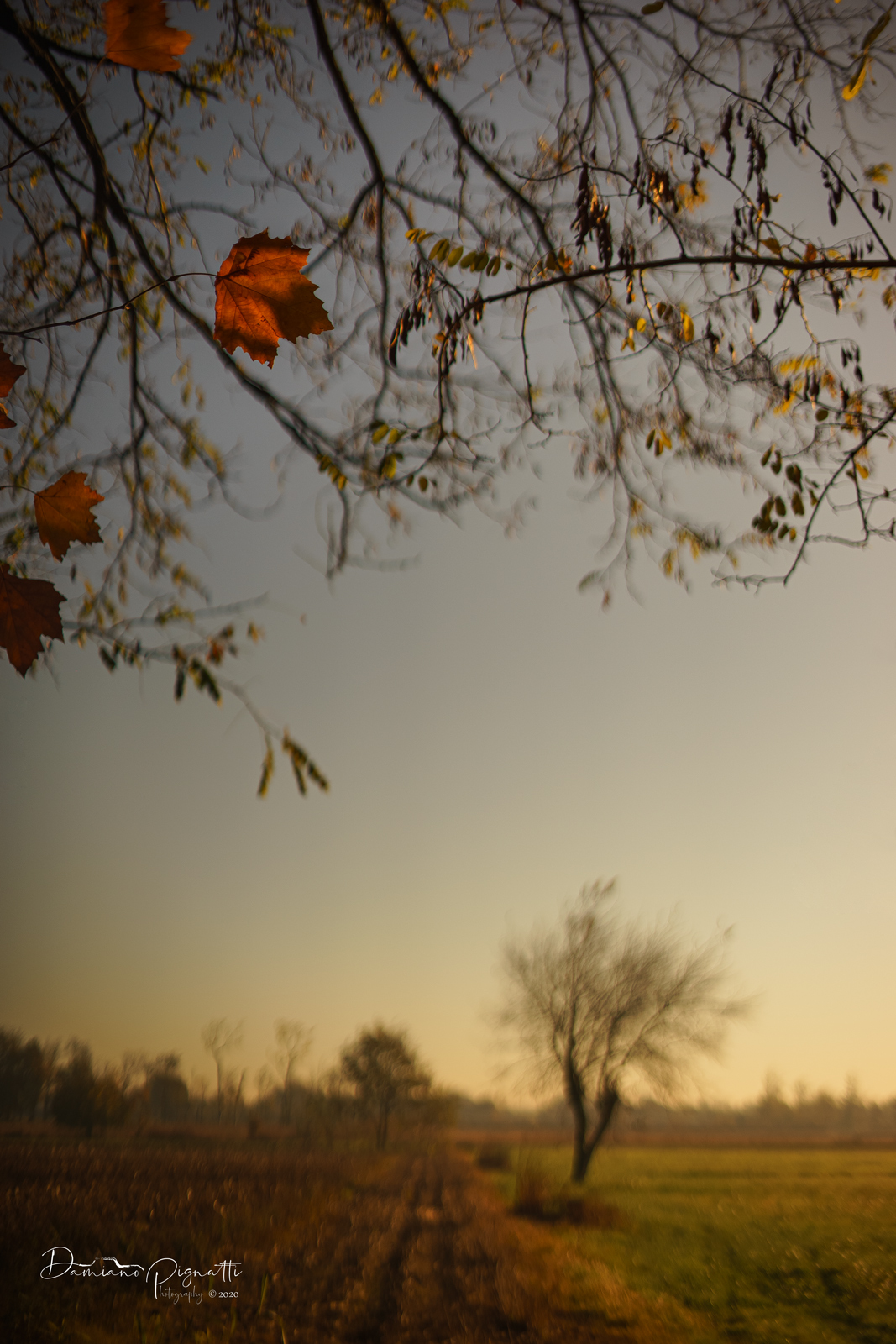 Interpretazione Autunno 2020